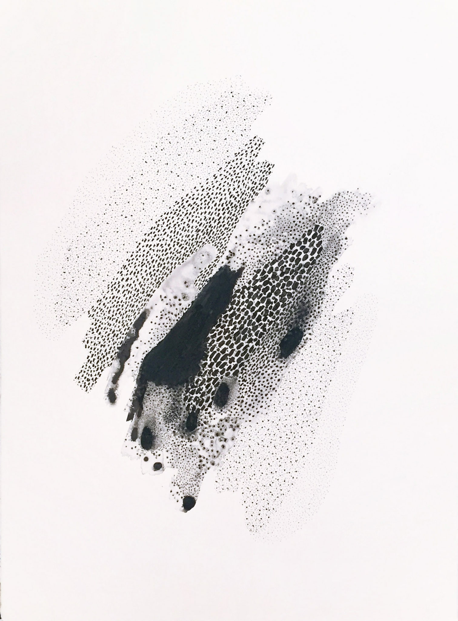 Poudre Noire, 55 x 75cm