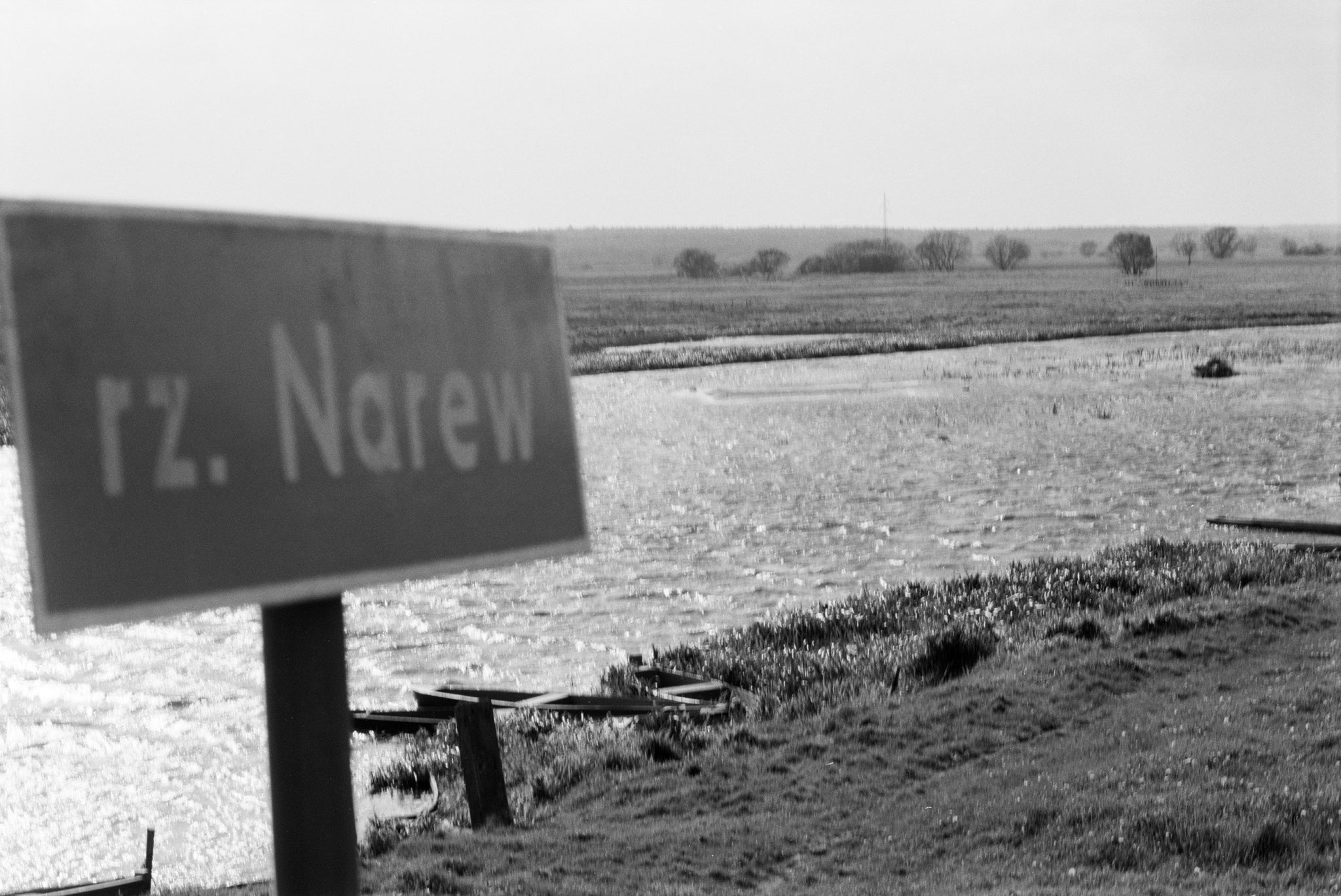 Der Narew