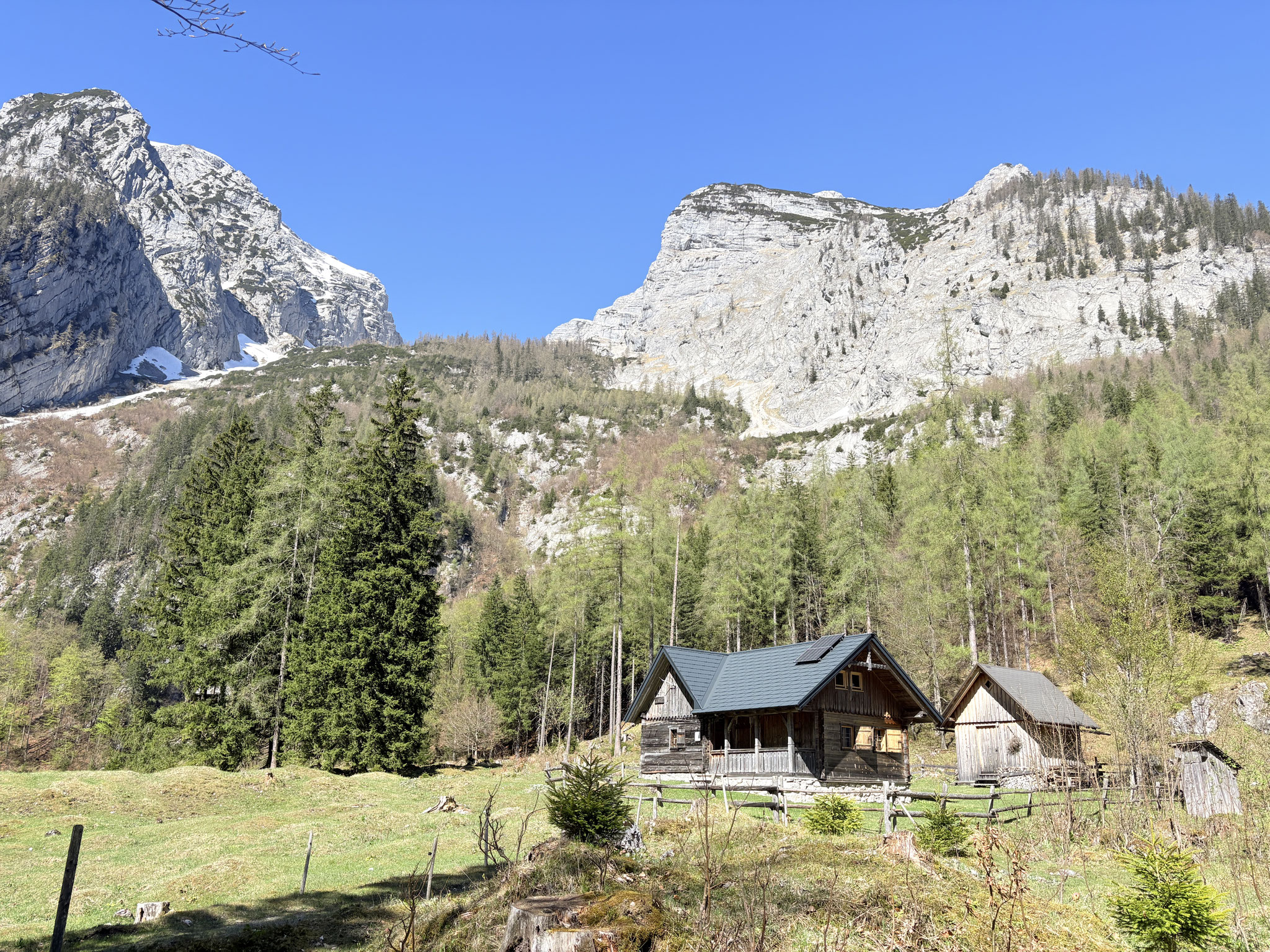 Poppenalm - 30.04.2026