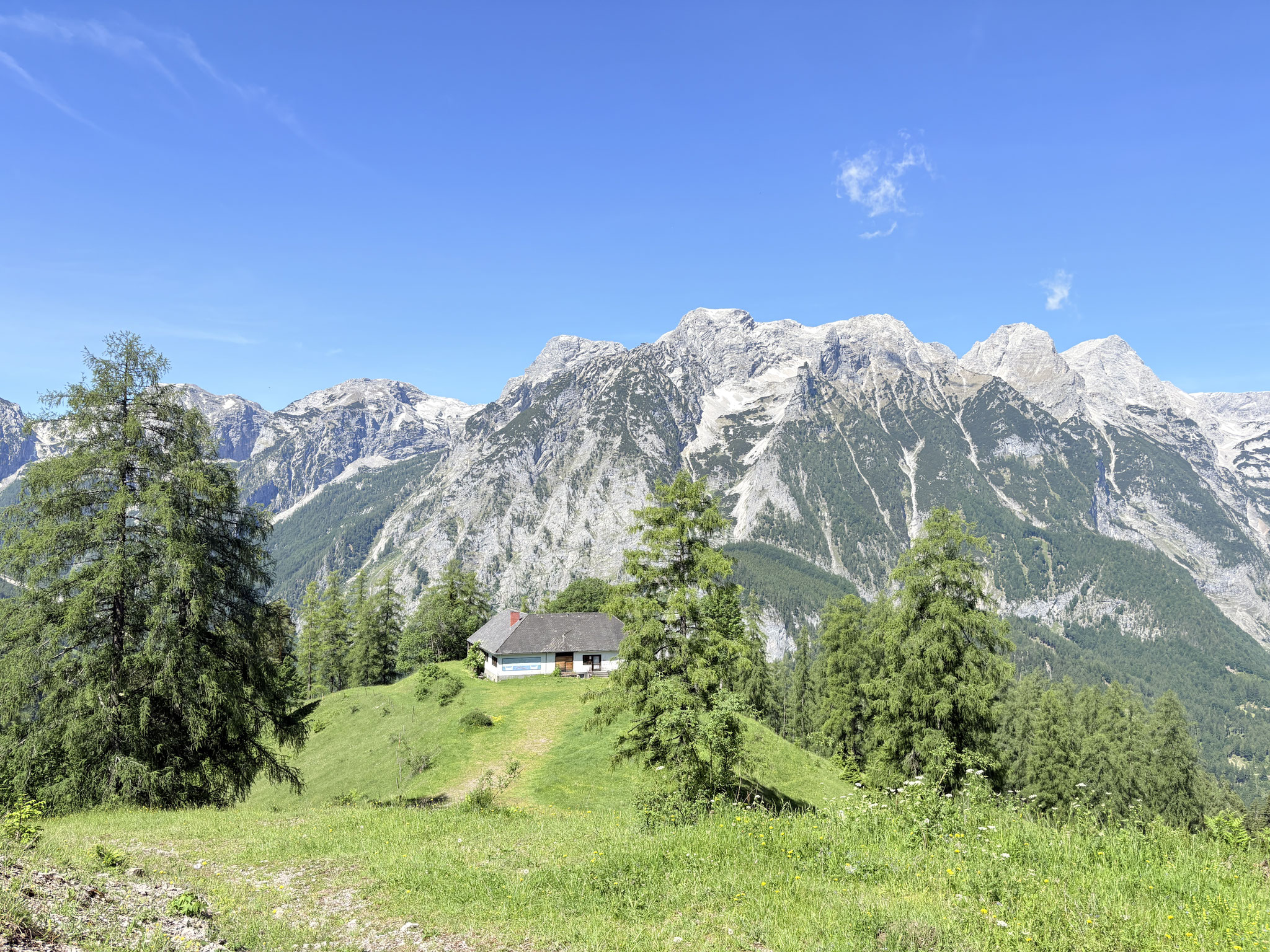 Schafferkogel - 04.06.2026