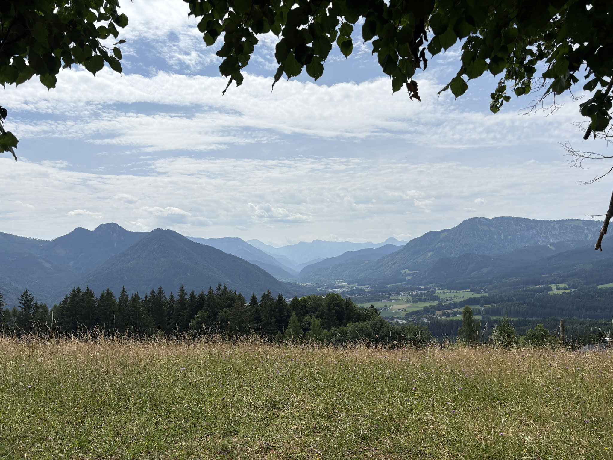 Hacklberg Runde - 06.07.2025 