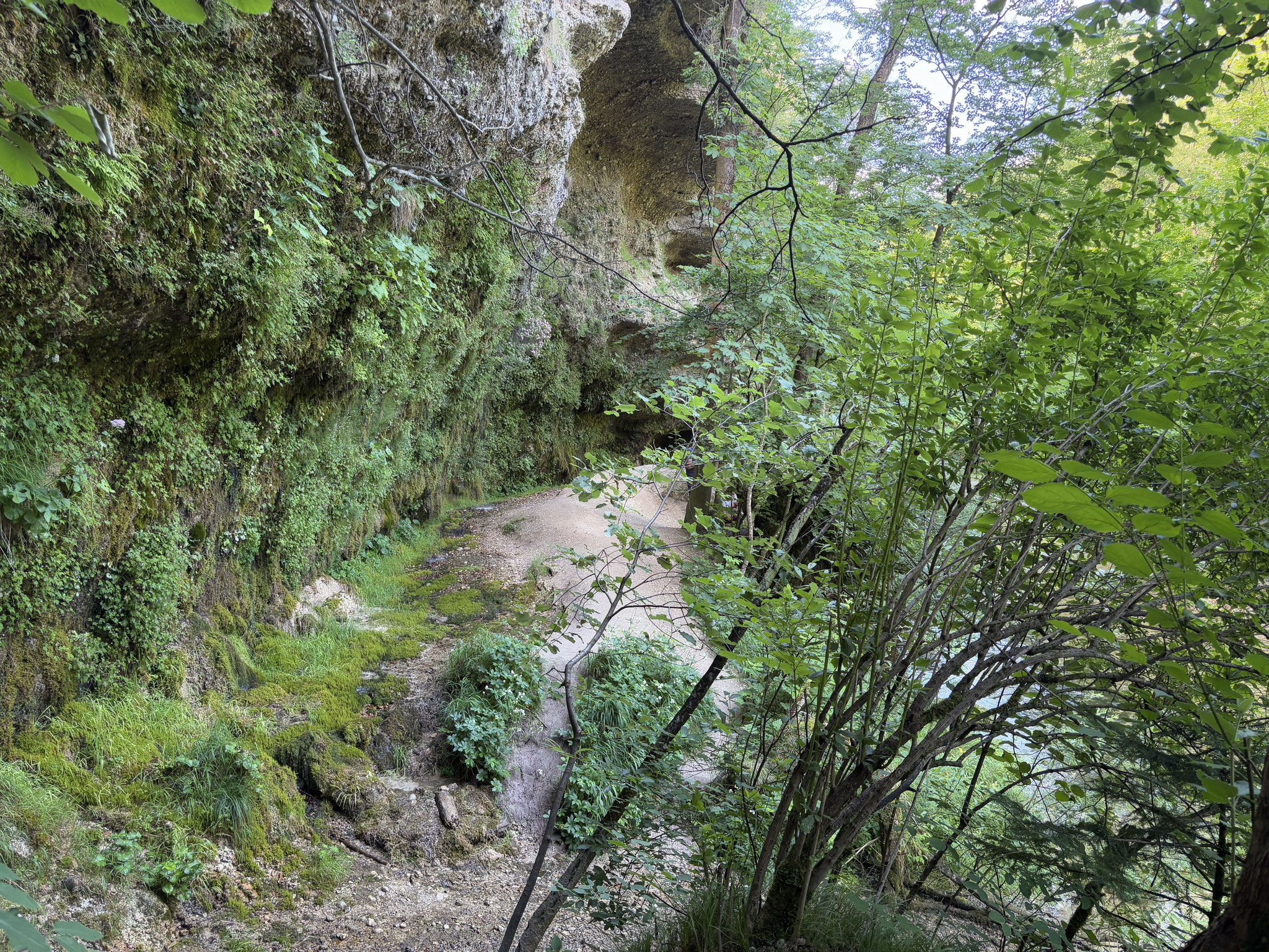 Rinnende Mauer - 29.06.2025 