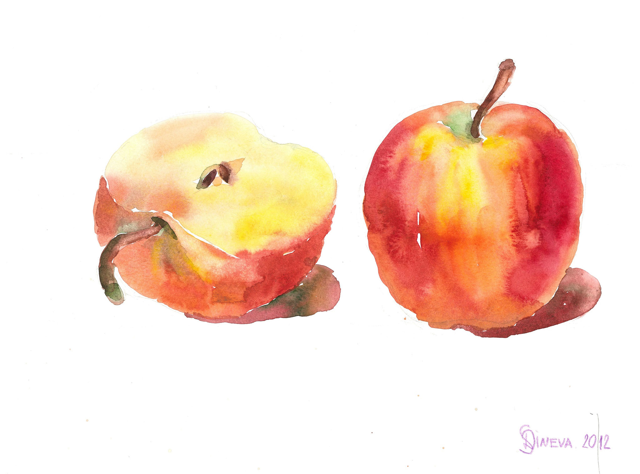 Zwei Äpfel, Aquarell auf Papier, 30x40 cm