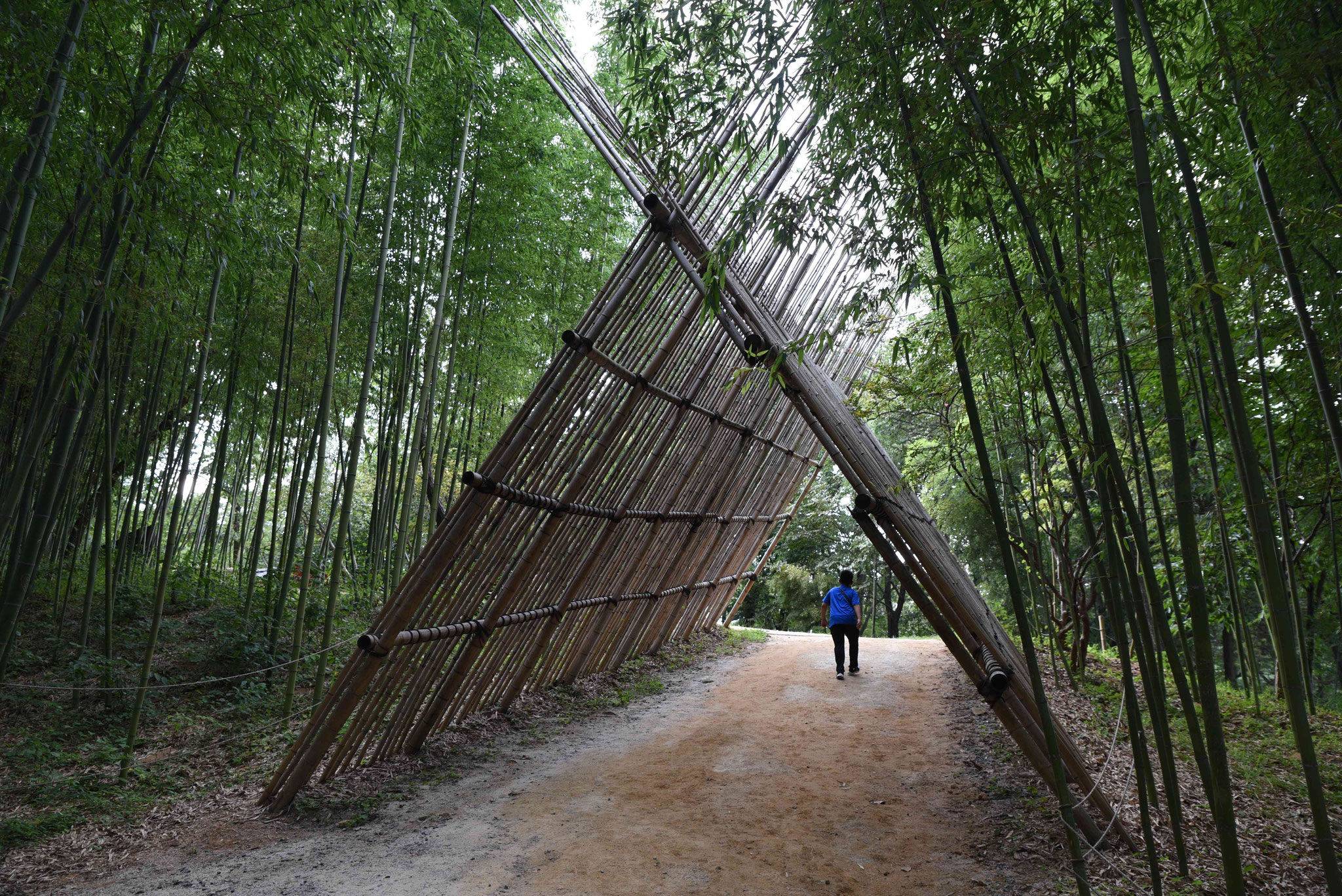Bambuskonstruktion 