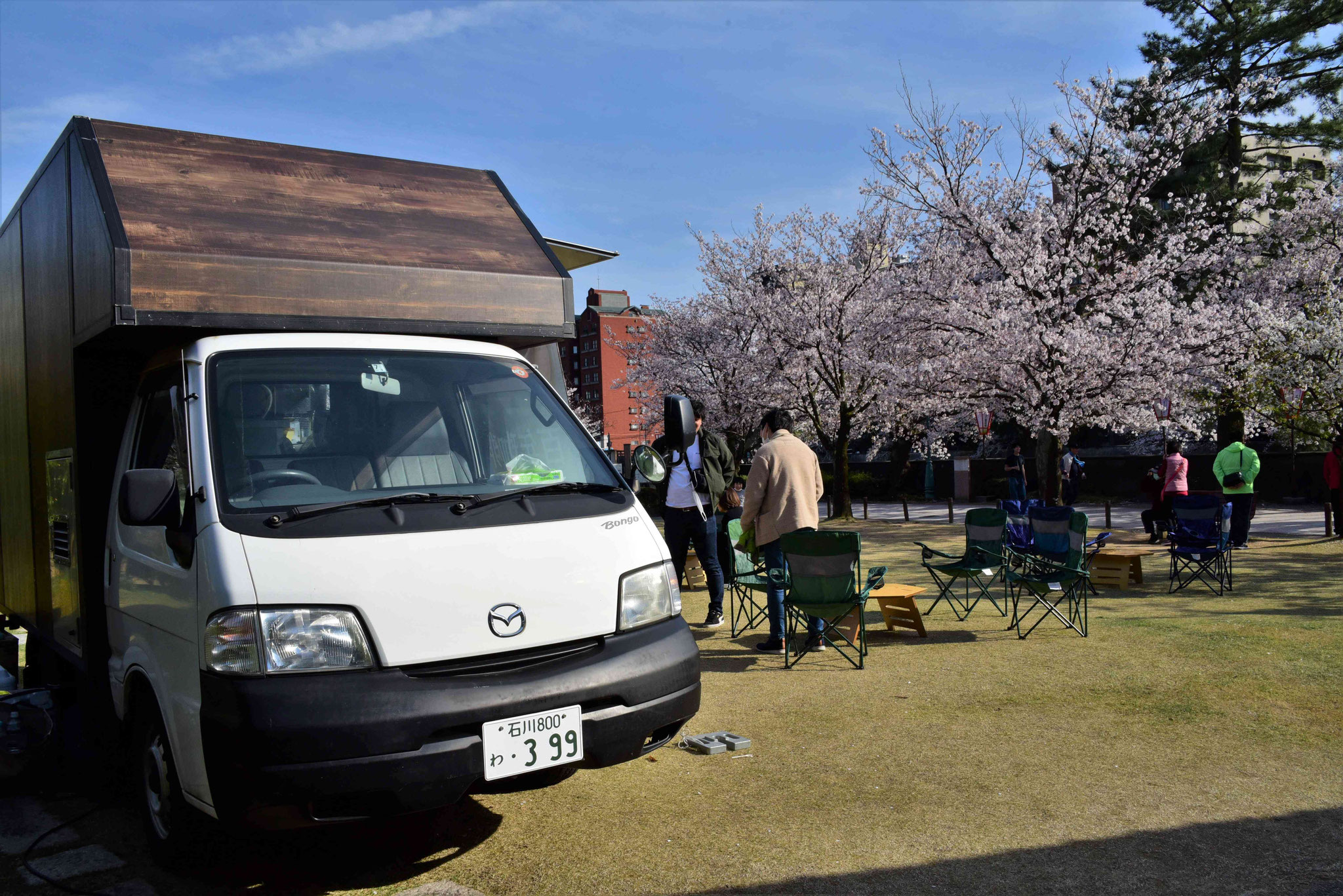 Hanami - Campen zur Kirschblütenbetrachtung