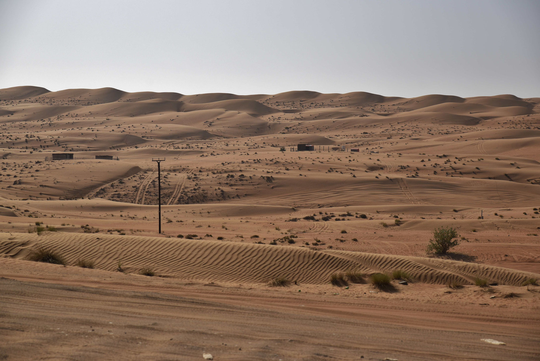 In der Wüste