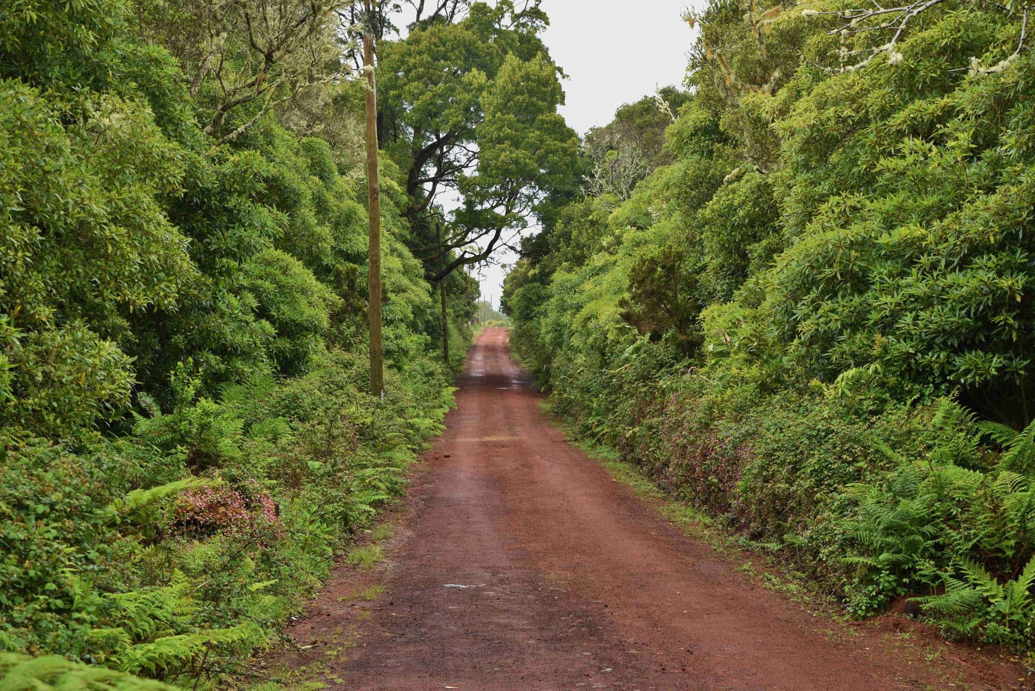 Offroad in die Pampa