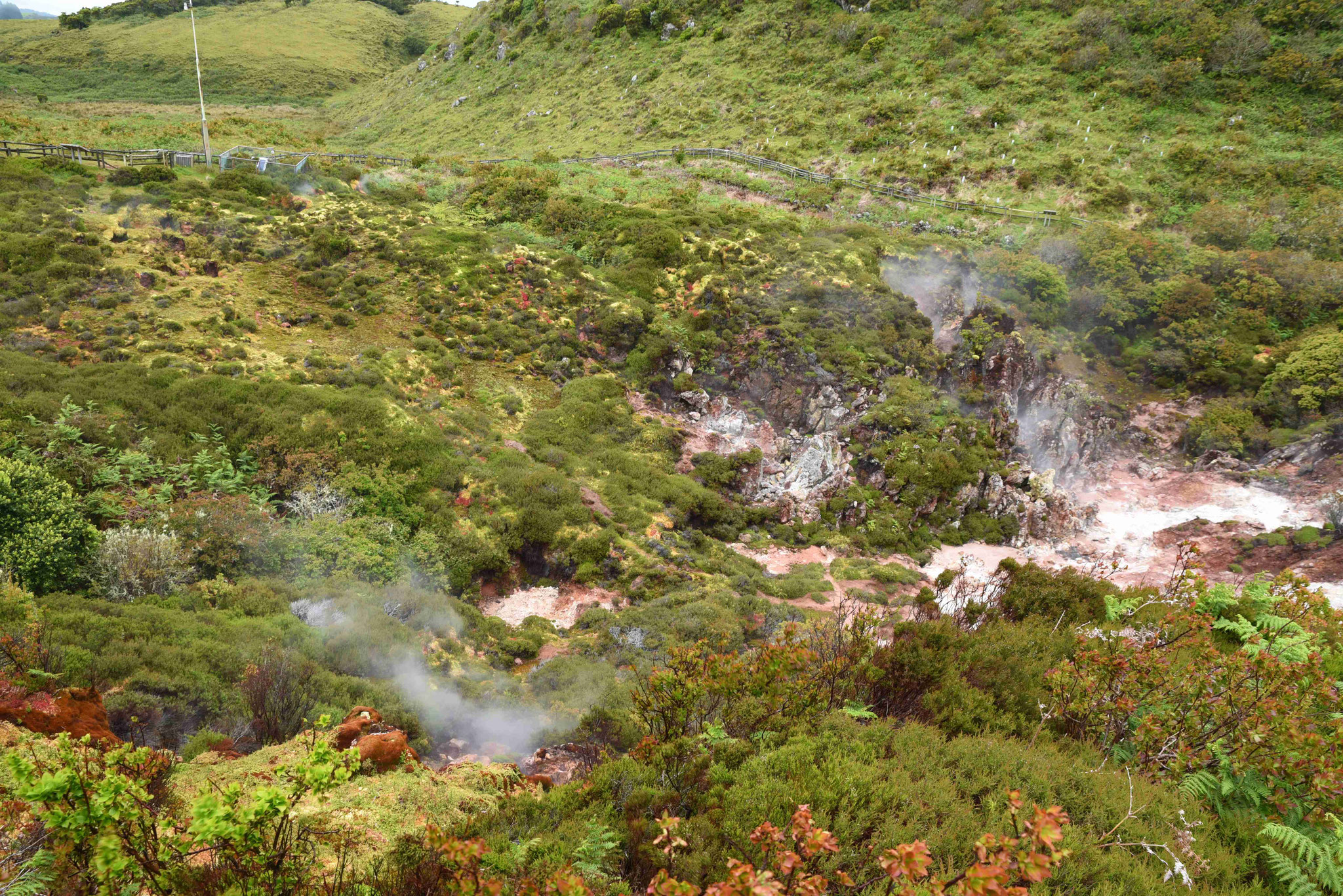 Furnas do Enxofre - sehr nett (schöner jedoch auf Island)