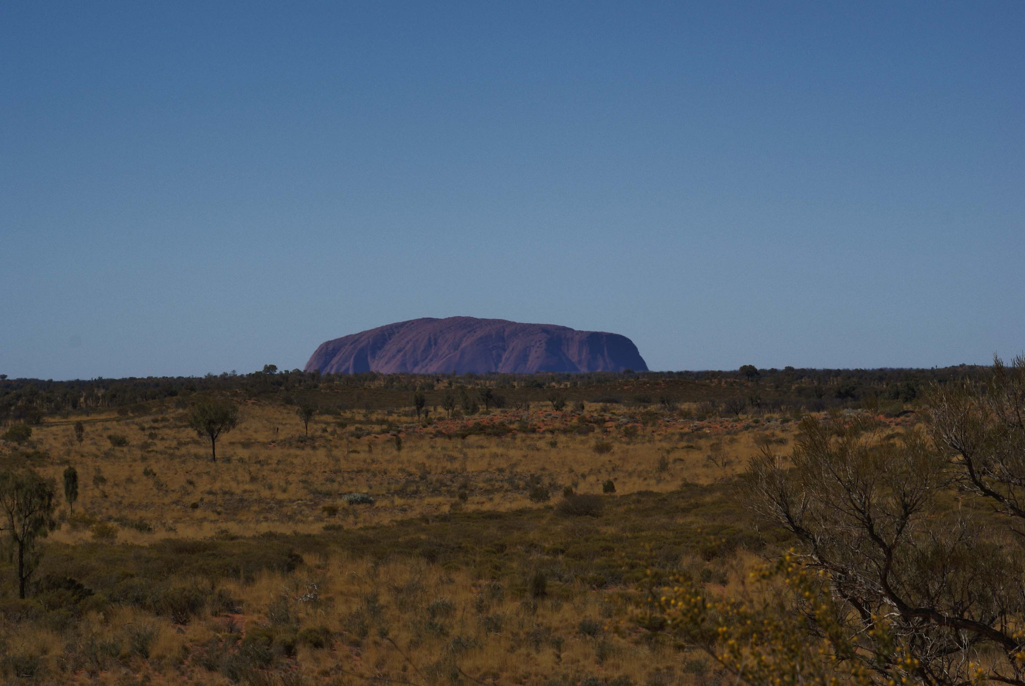 Uluru aus der Ferne