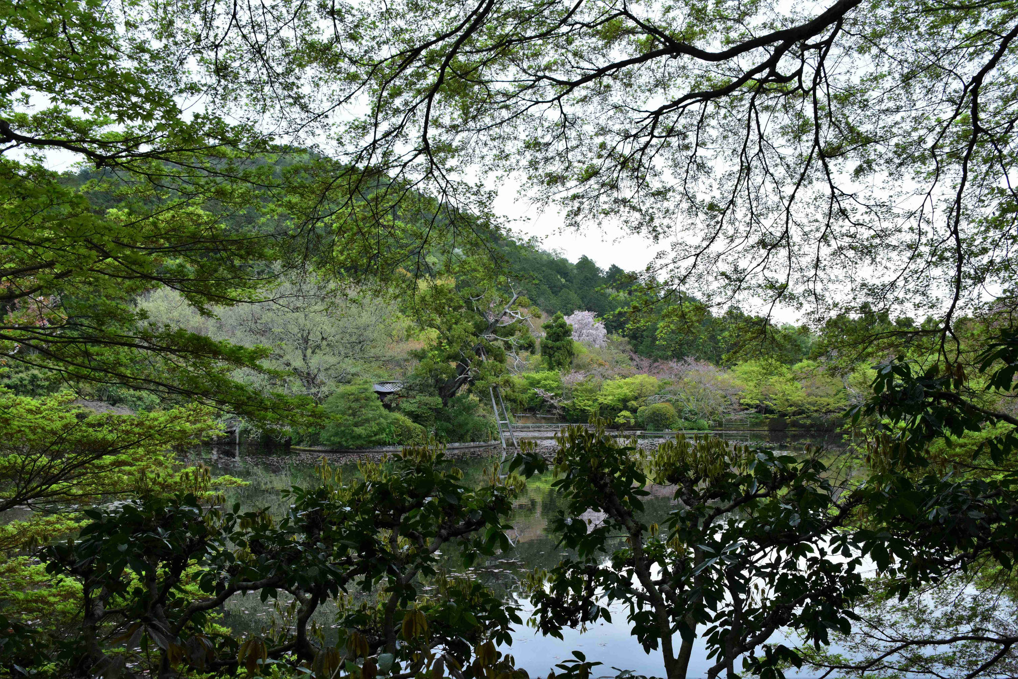 Garten des Zen-Tempel Ryoan-ji