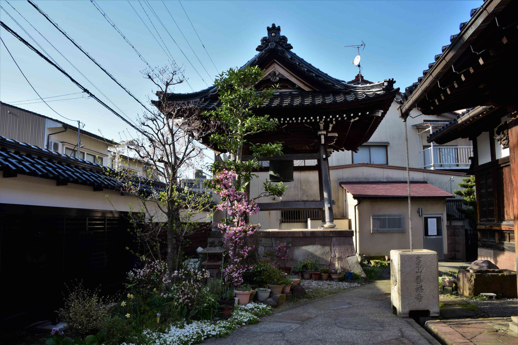 Zenpukuji-Tempel
