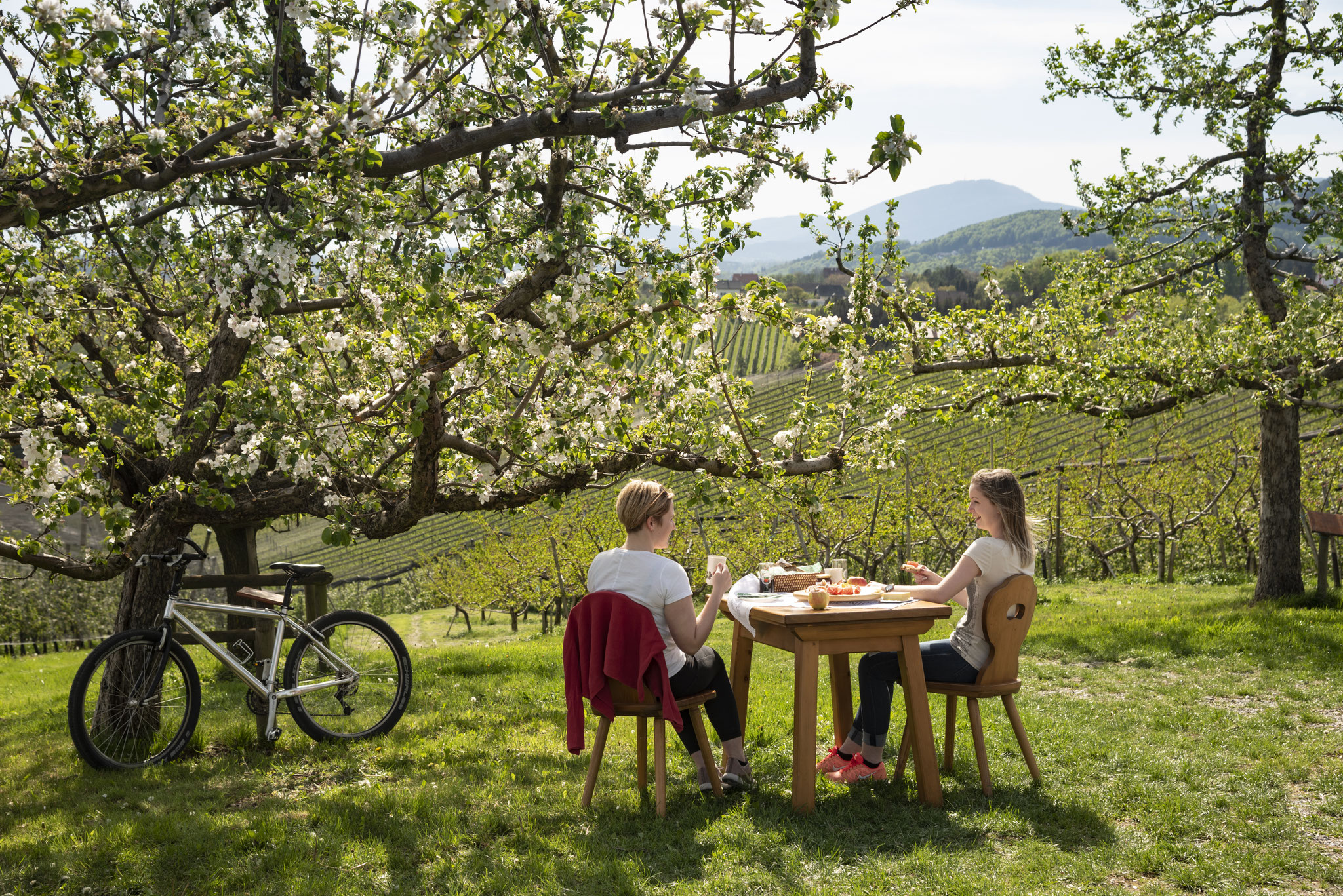 Blütezeit in der Oststeiermark © Oststeiermark Tourismus | Bernhard Bergmann