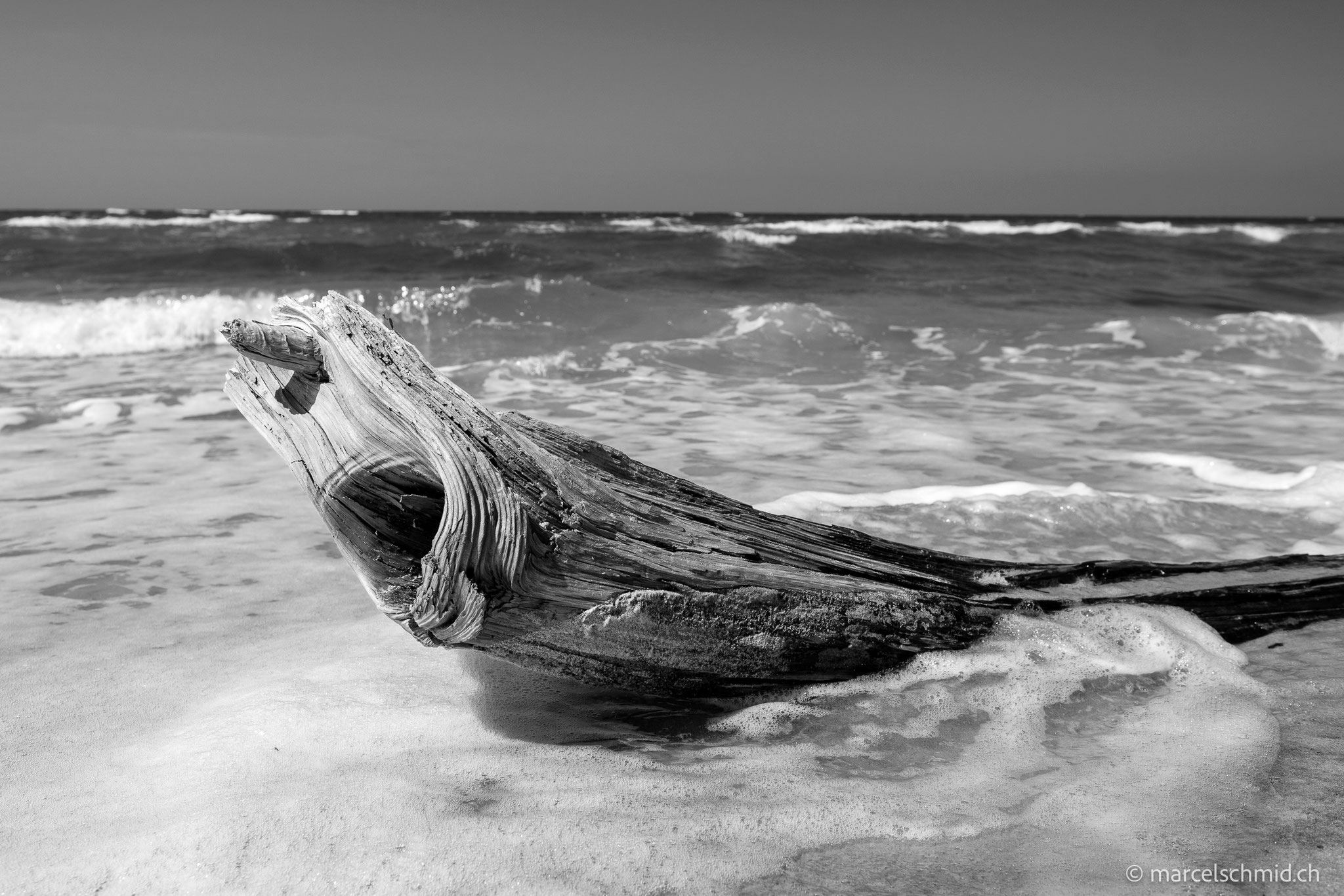 Fischland-Darss-Zingst, Vorpommern, Deutschland