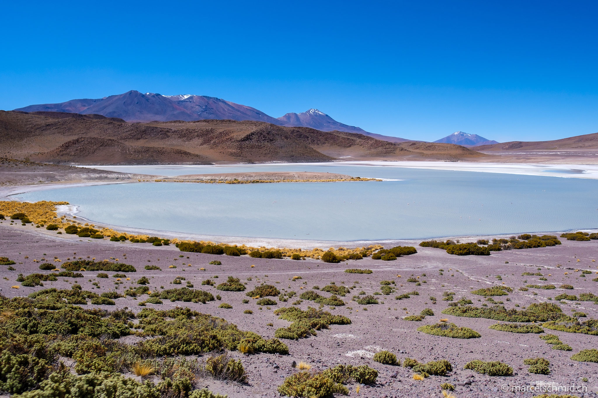 Laguna Honda, Nor Lipez, Bolivien