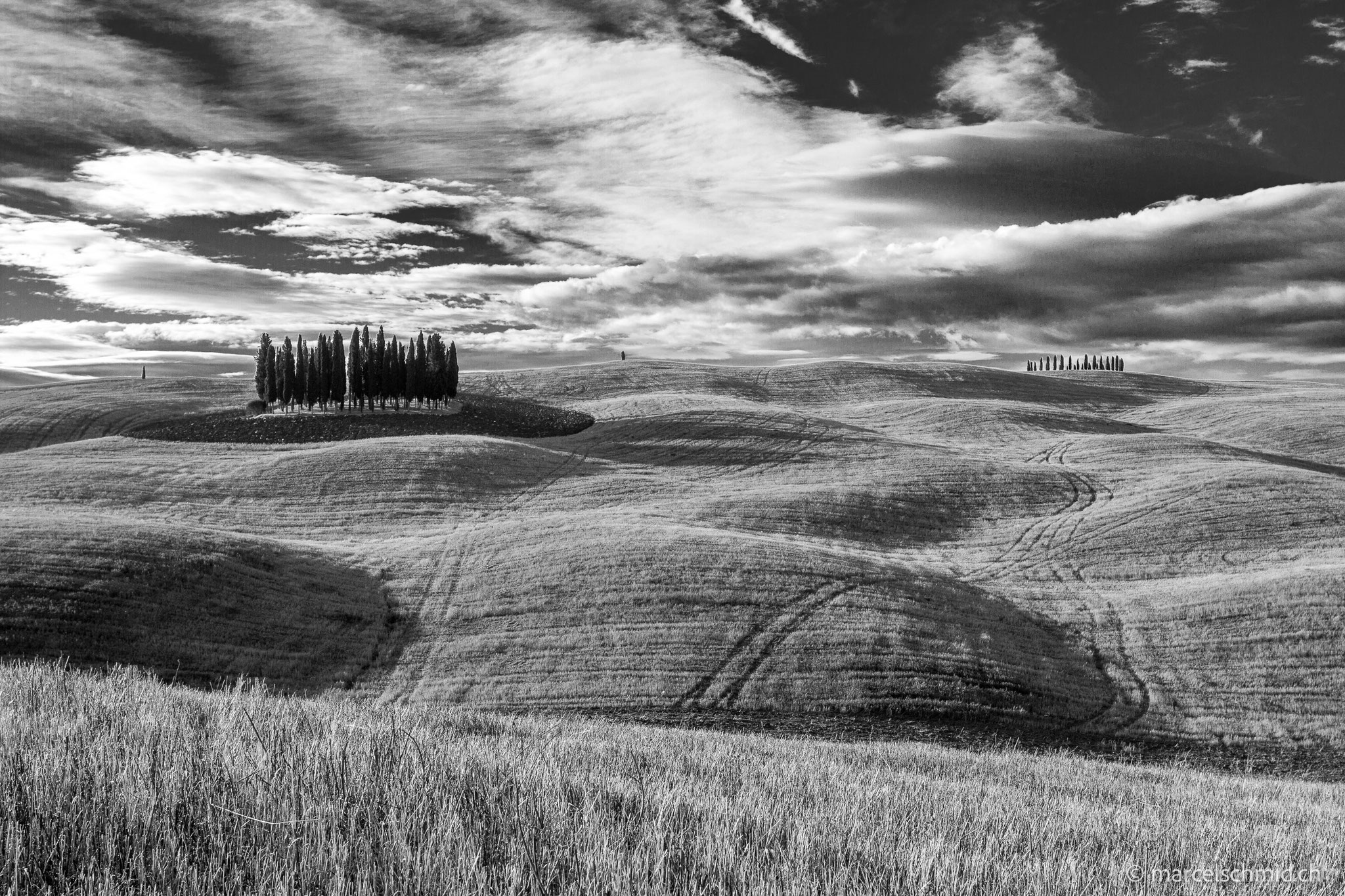 Zypressen im Val d'Orcia, Toscana, Italien