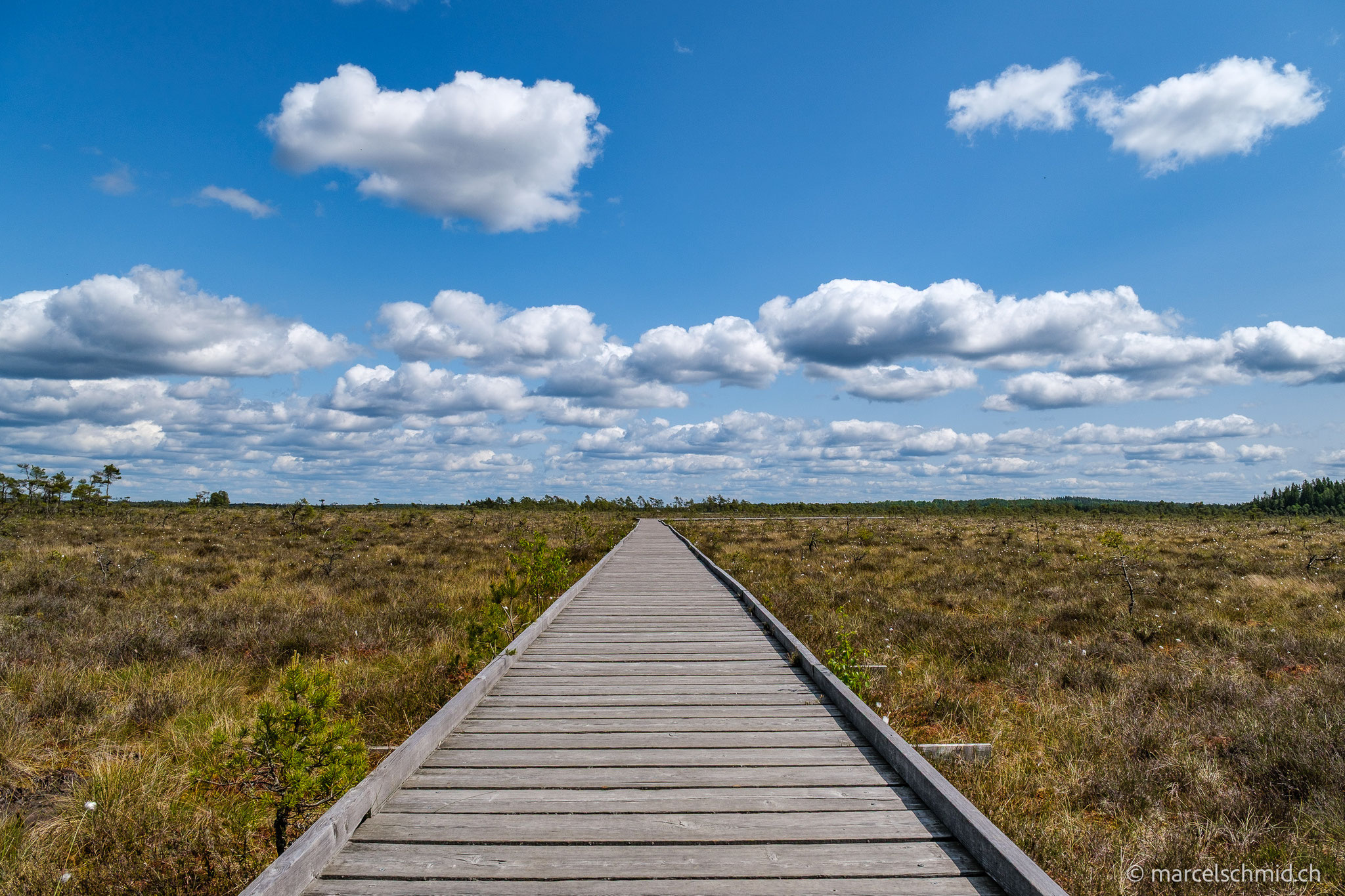 Store Mosse Nationalpark, Schweden