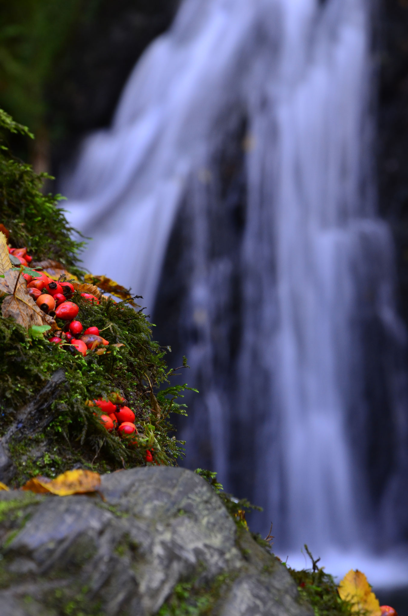 Natur