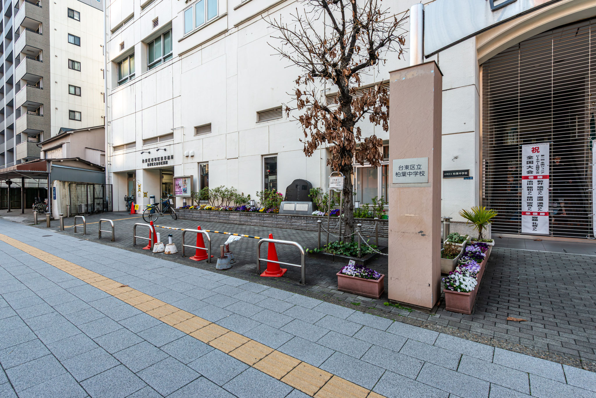 区立柏葉中学校（240m）