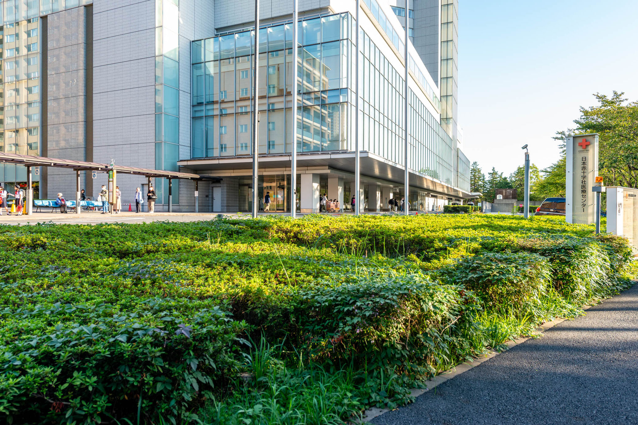 日本赤十字社医療センター（1,000ｍ）