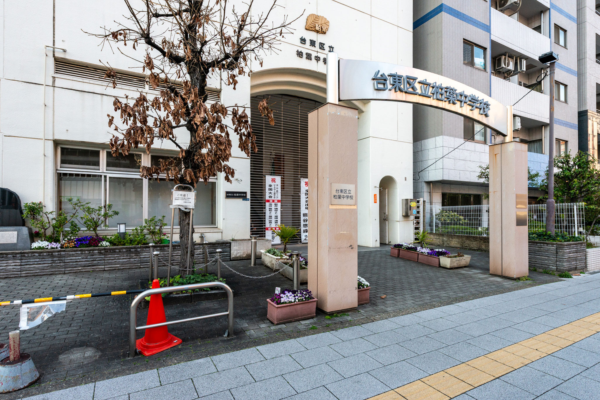 区立柏葉中学校（240m）