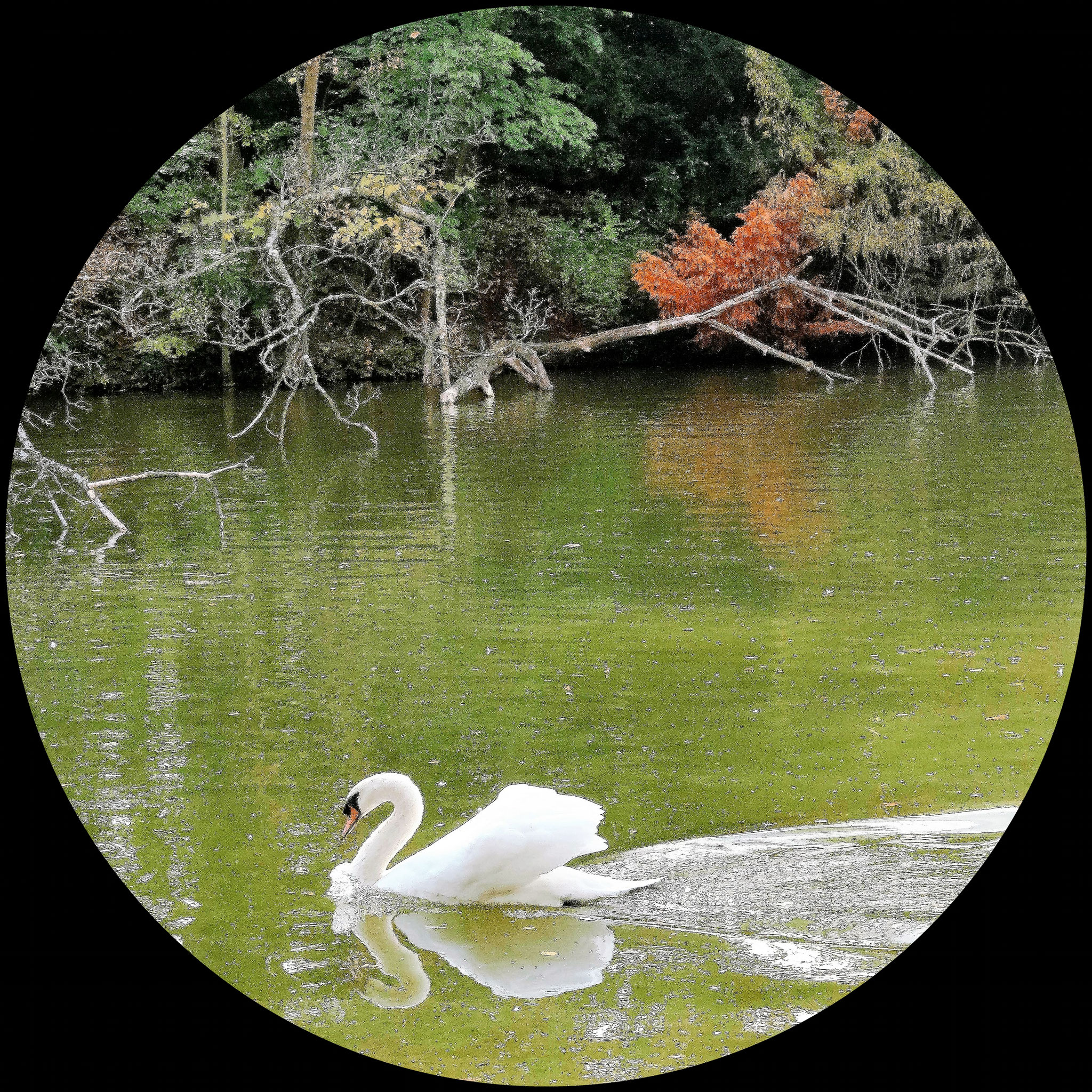 Lindenthaler Park