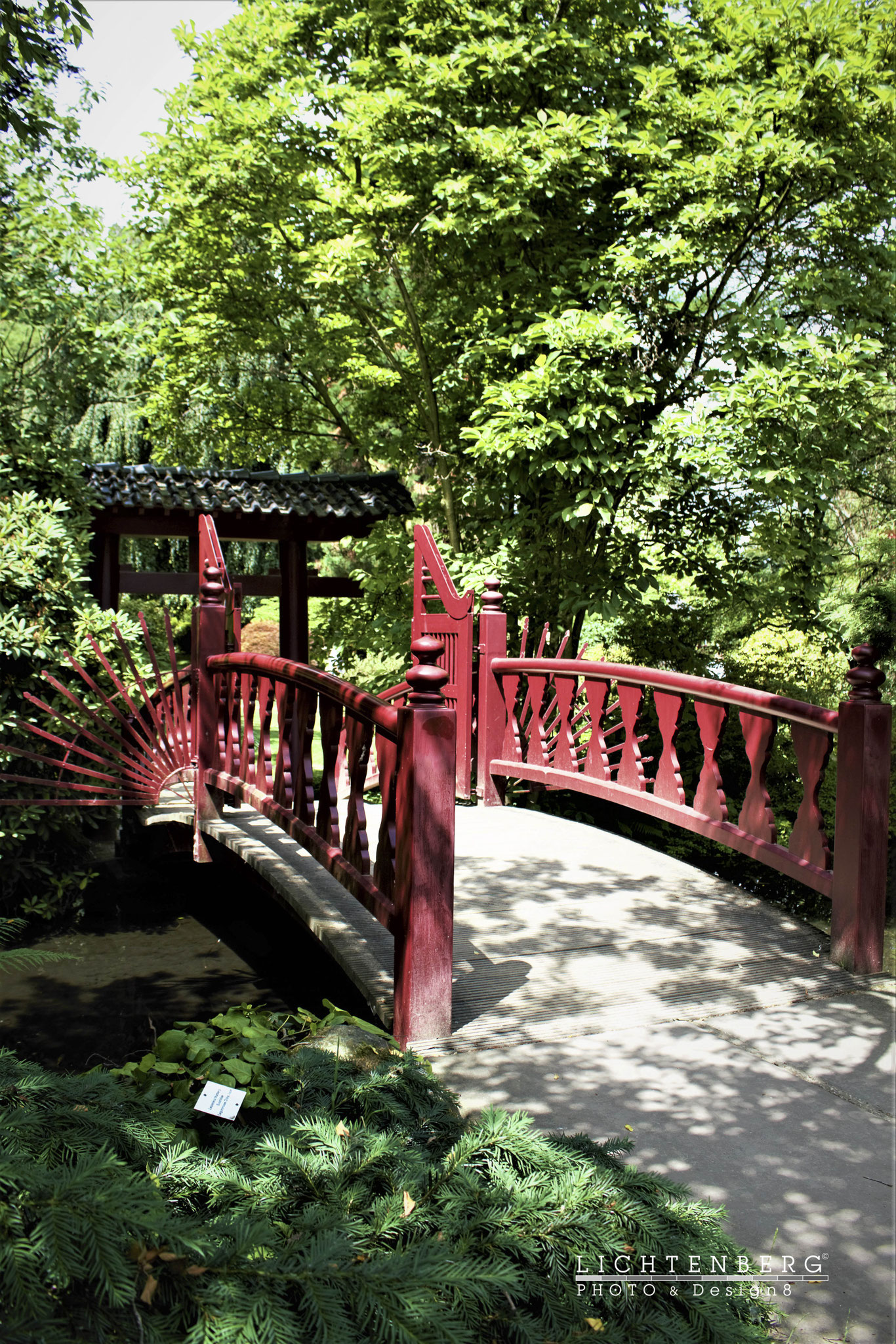 'Japanischer Garten Steg in Rubin-Rot' | 'Japanese Garden with Bridge in Ruby-Red', DE