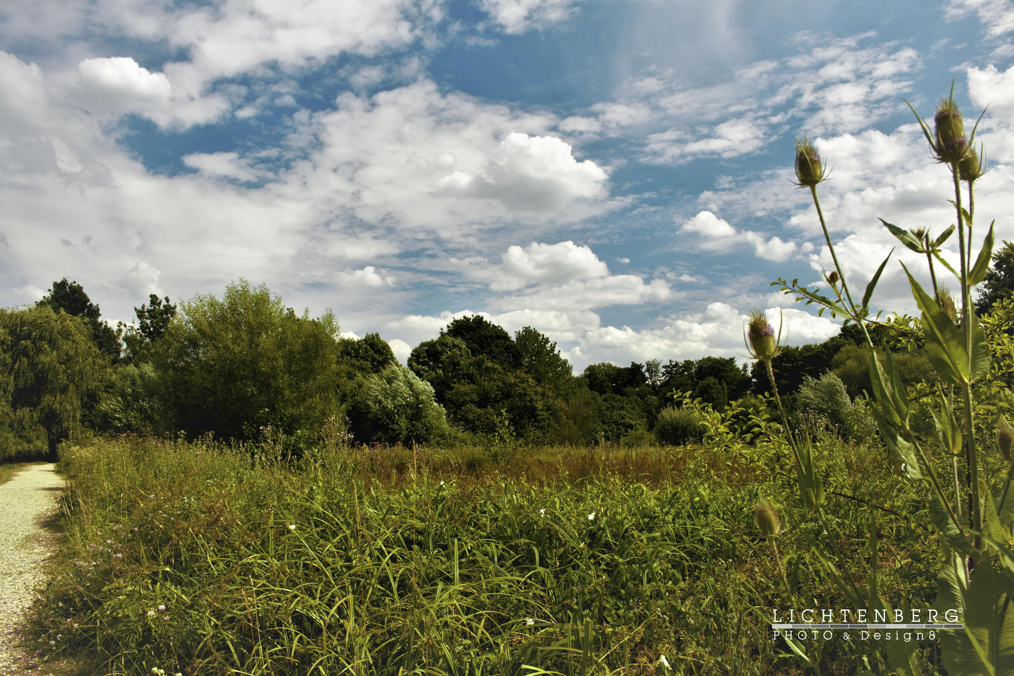 'Insel Gefühl mit Weg' | 'Green island feeling with way', H., N., DE