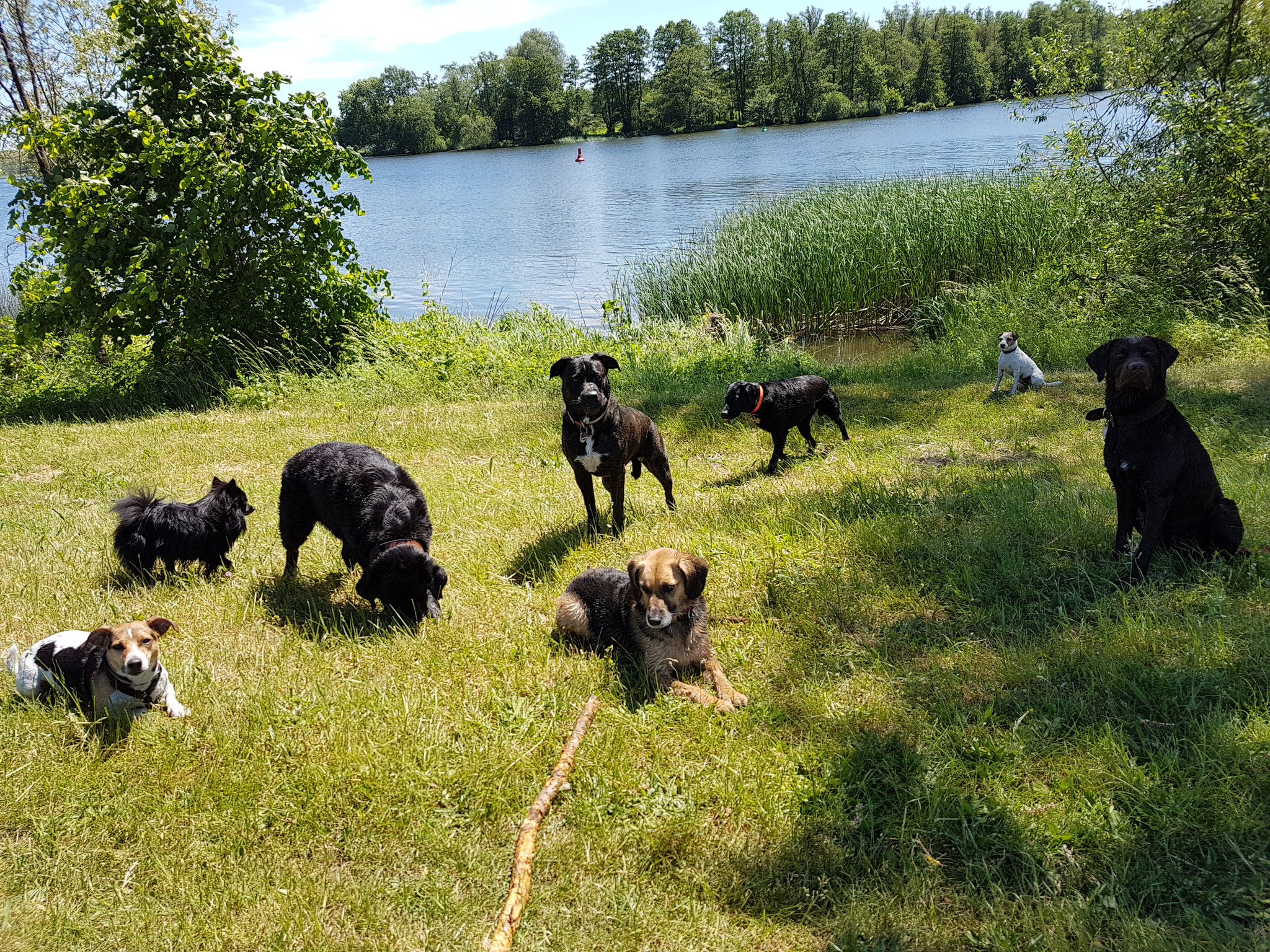 Hundezubehör aus Berlin bei DeineTierwelt