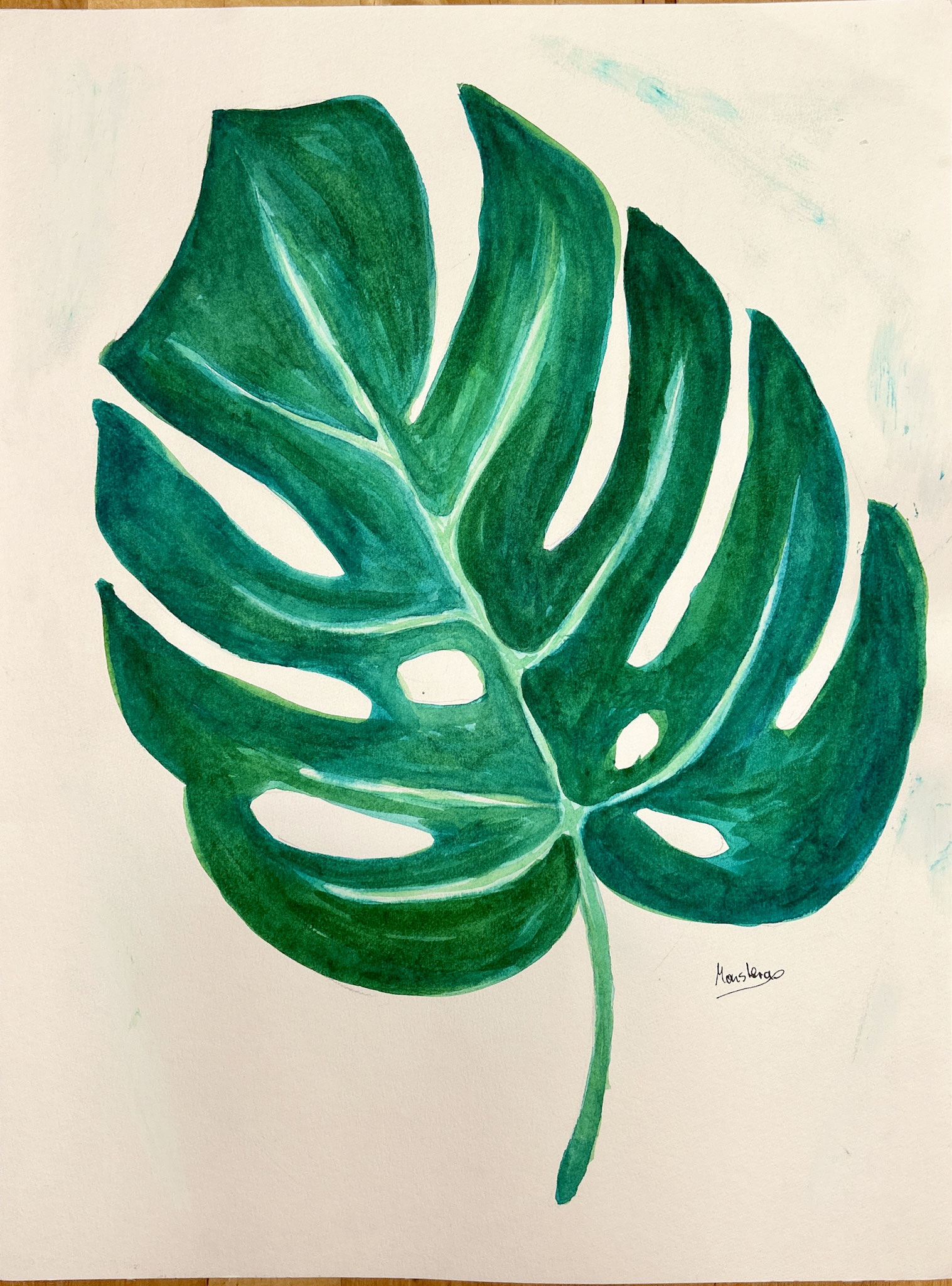 "Monstera" Aquarell