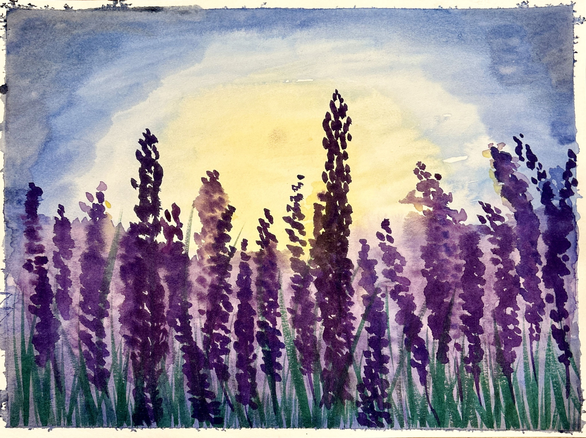 "Duftender Lavendel" Aquarell