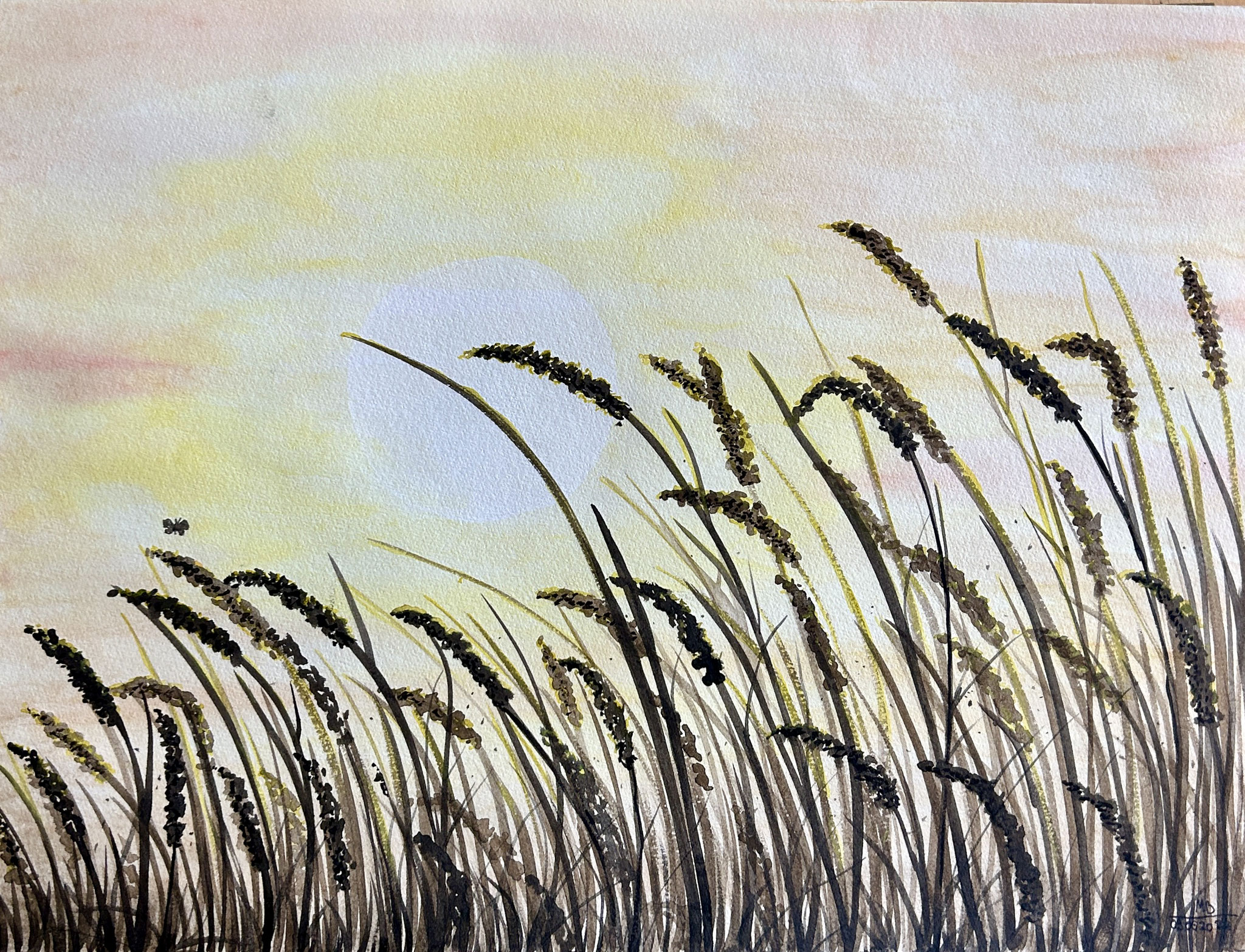 "Sommergräser" Aquarell