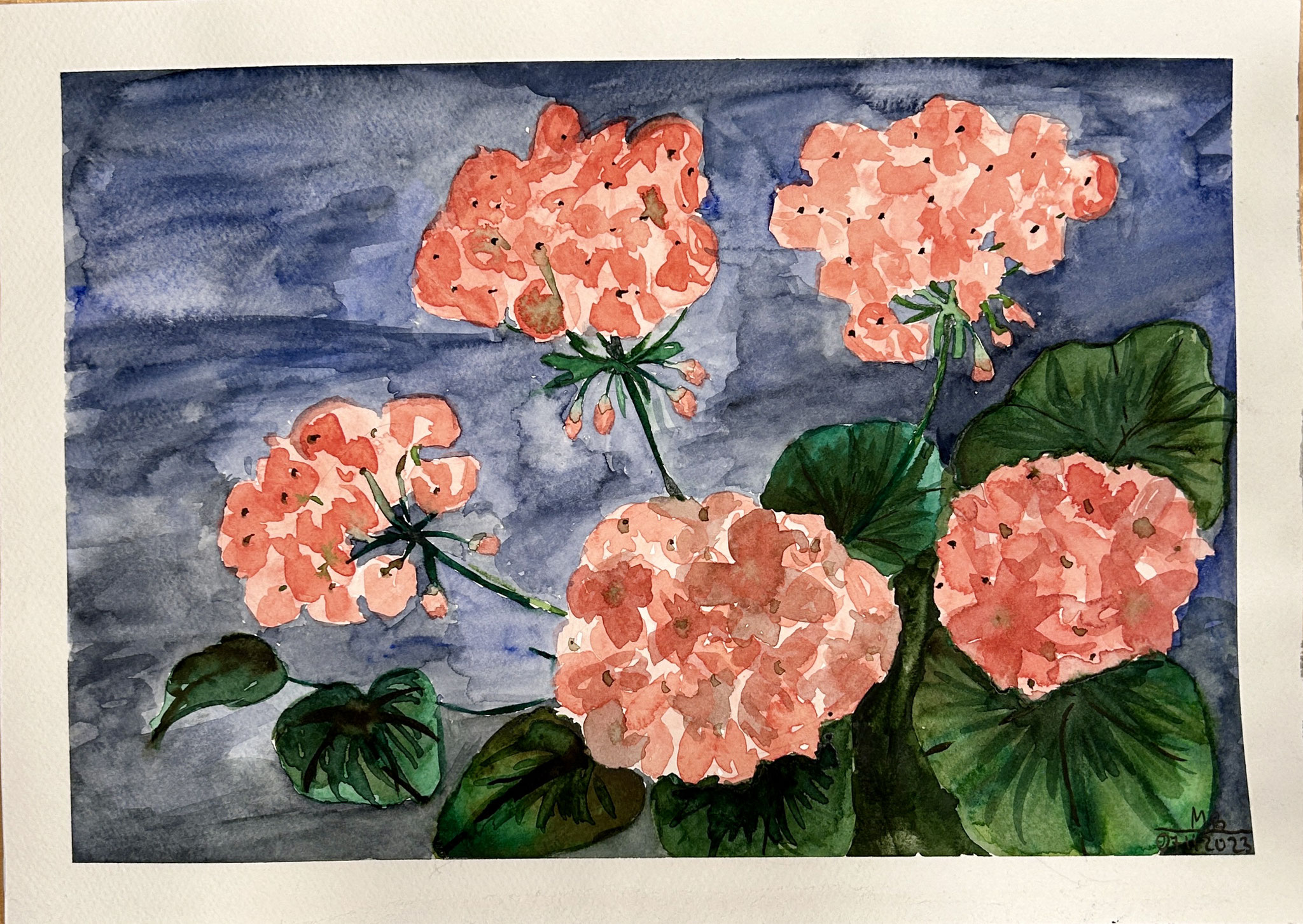 "Geranien" Aquarell