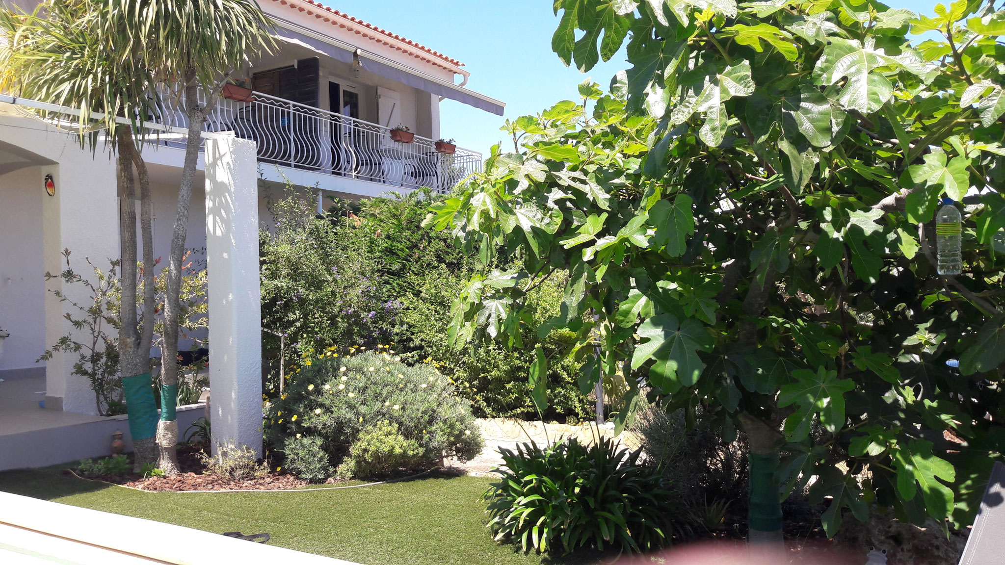 Jardin