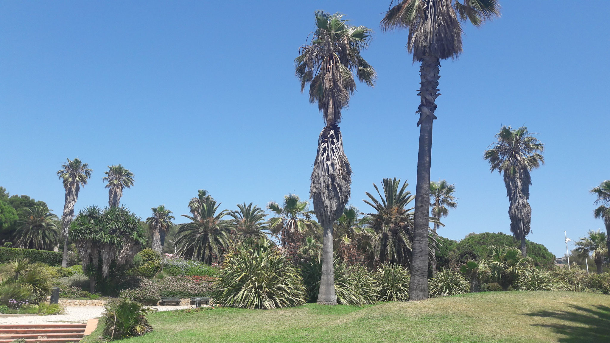 A 400 mètres Parc de la Méditerranée