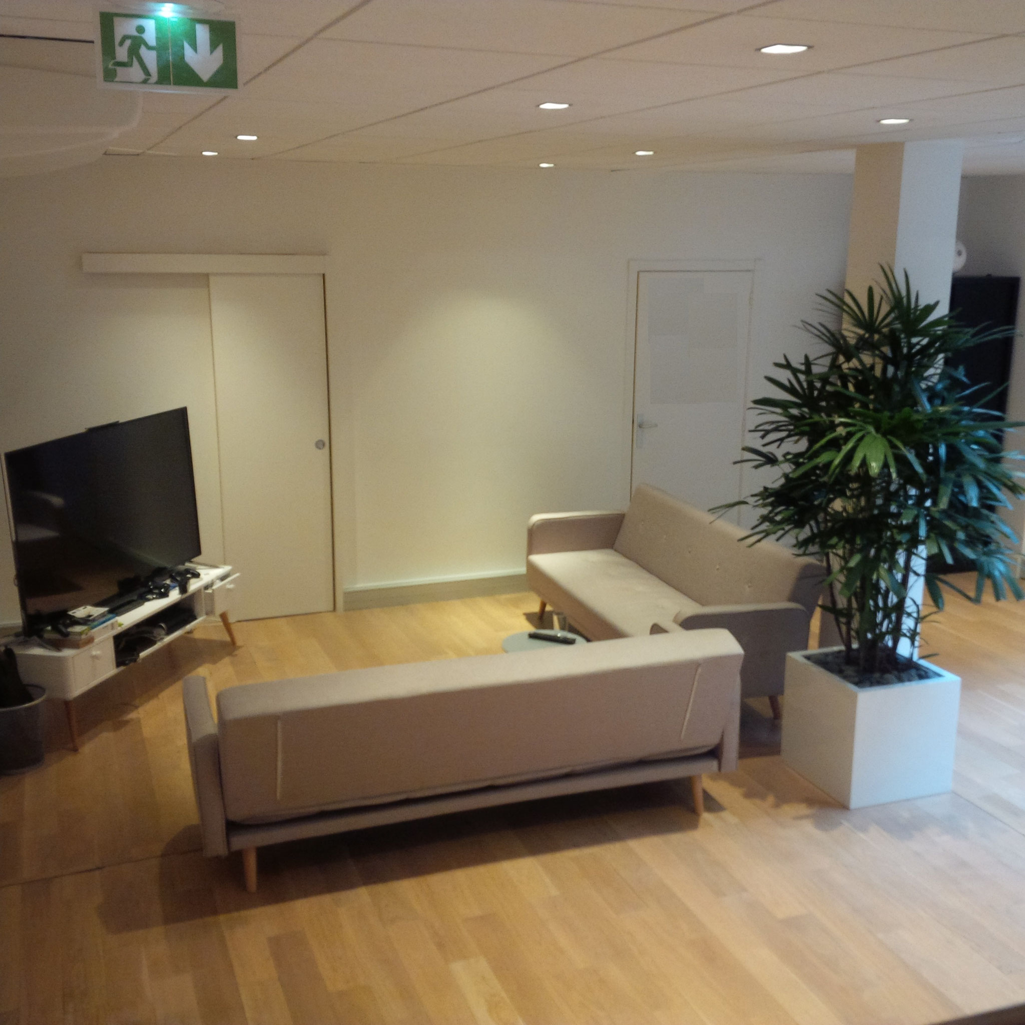 Paysagiste d'intérieur: location de plantes pour les bureaux d'une start up parisienne