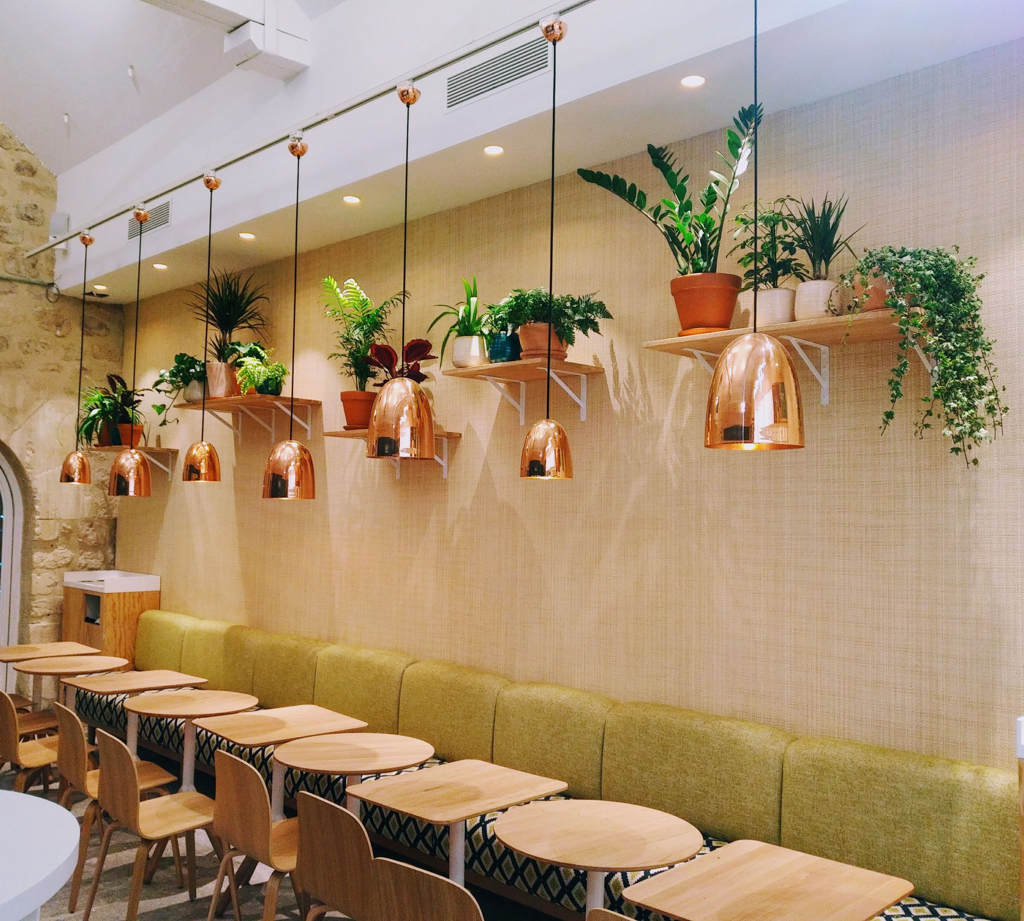 Paysagiste d'intérieur: entretien de plantes d'intérieur en entreprise (ici un restaurant de Paris Bercy)
