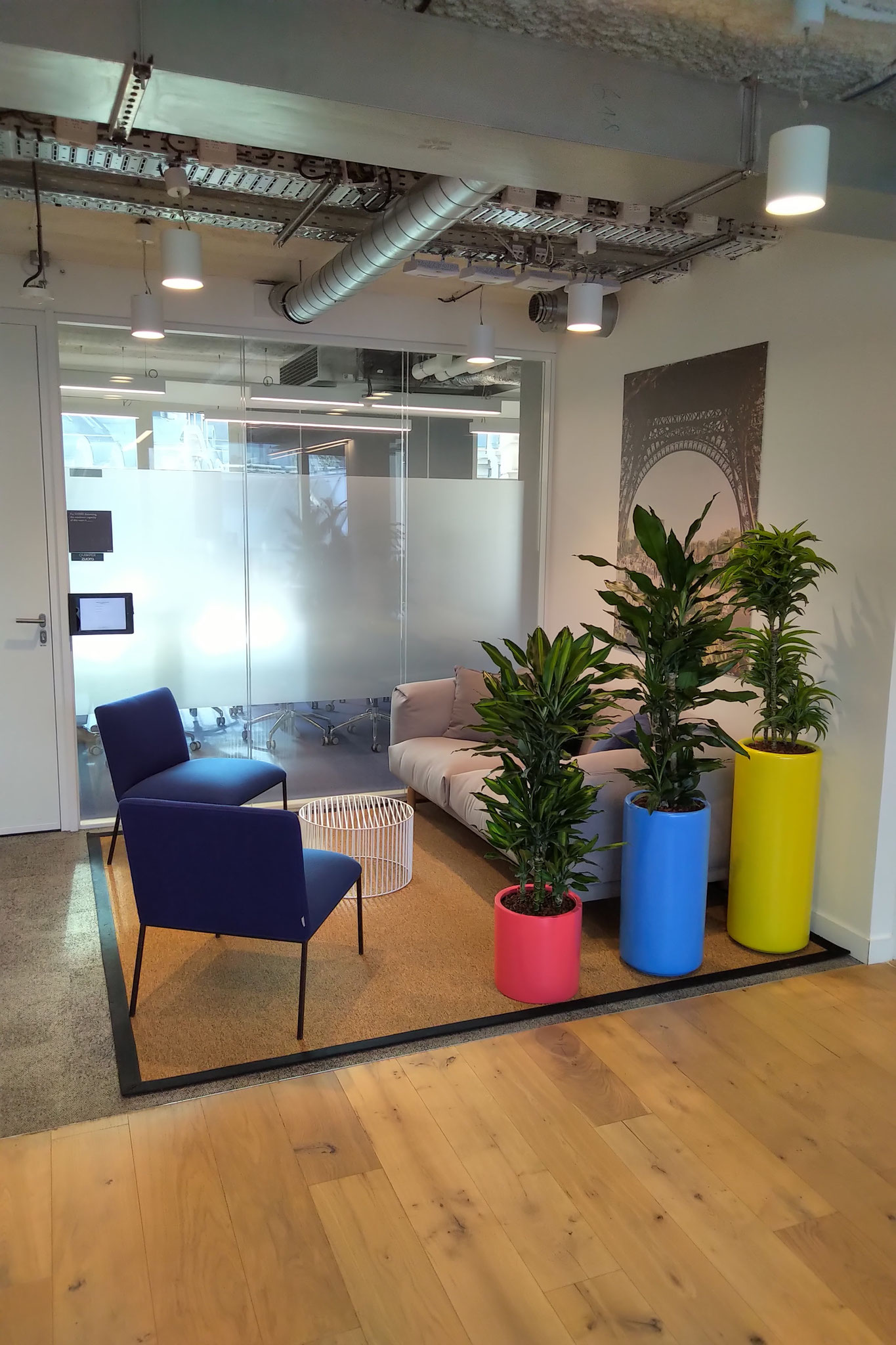 Location et entretien de plantes vertes