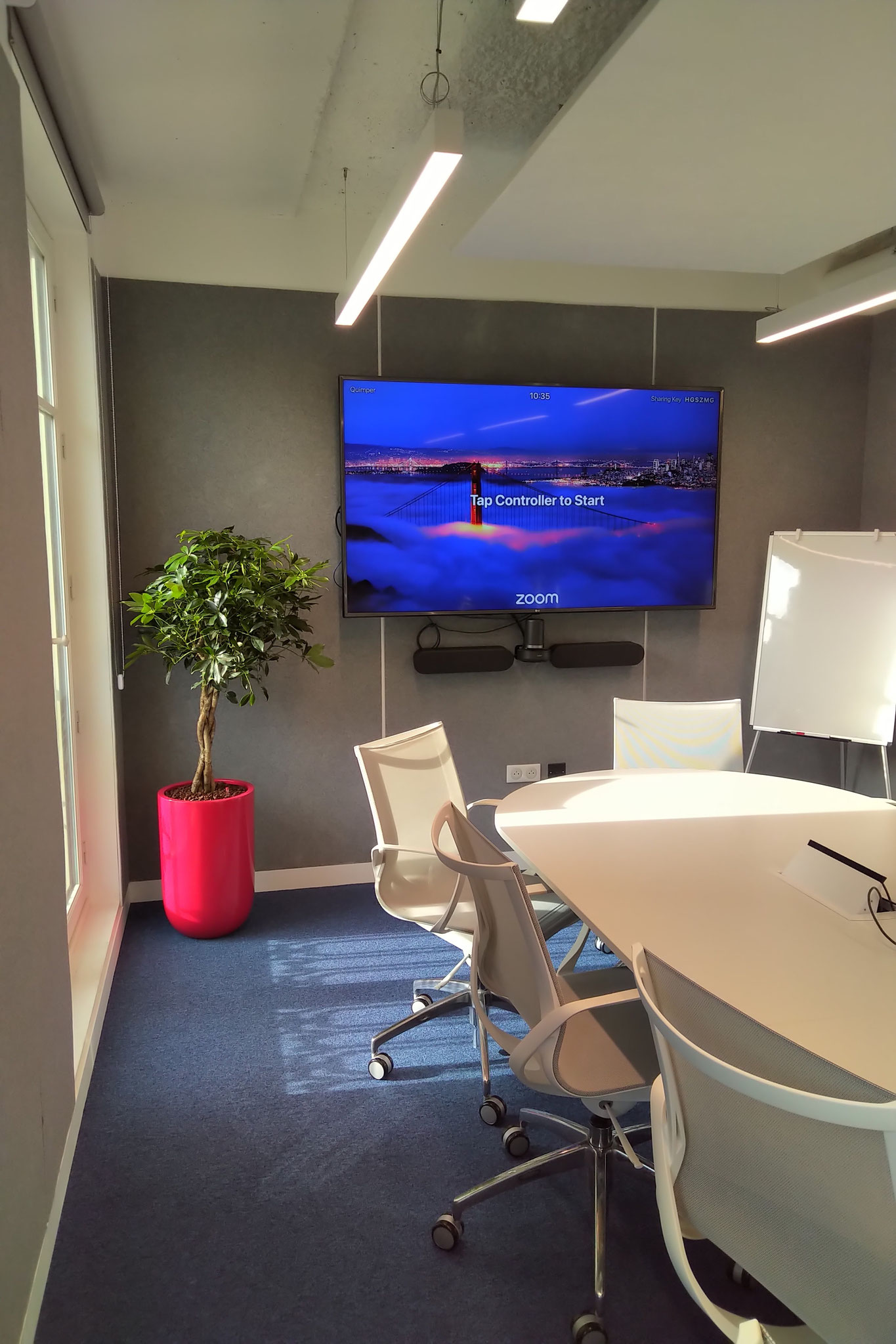 Location d'une plante d'intérieur pour cette salle de réunion