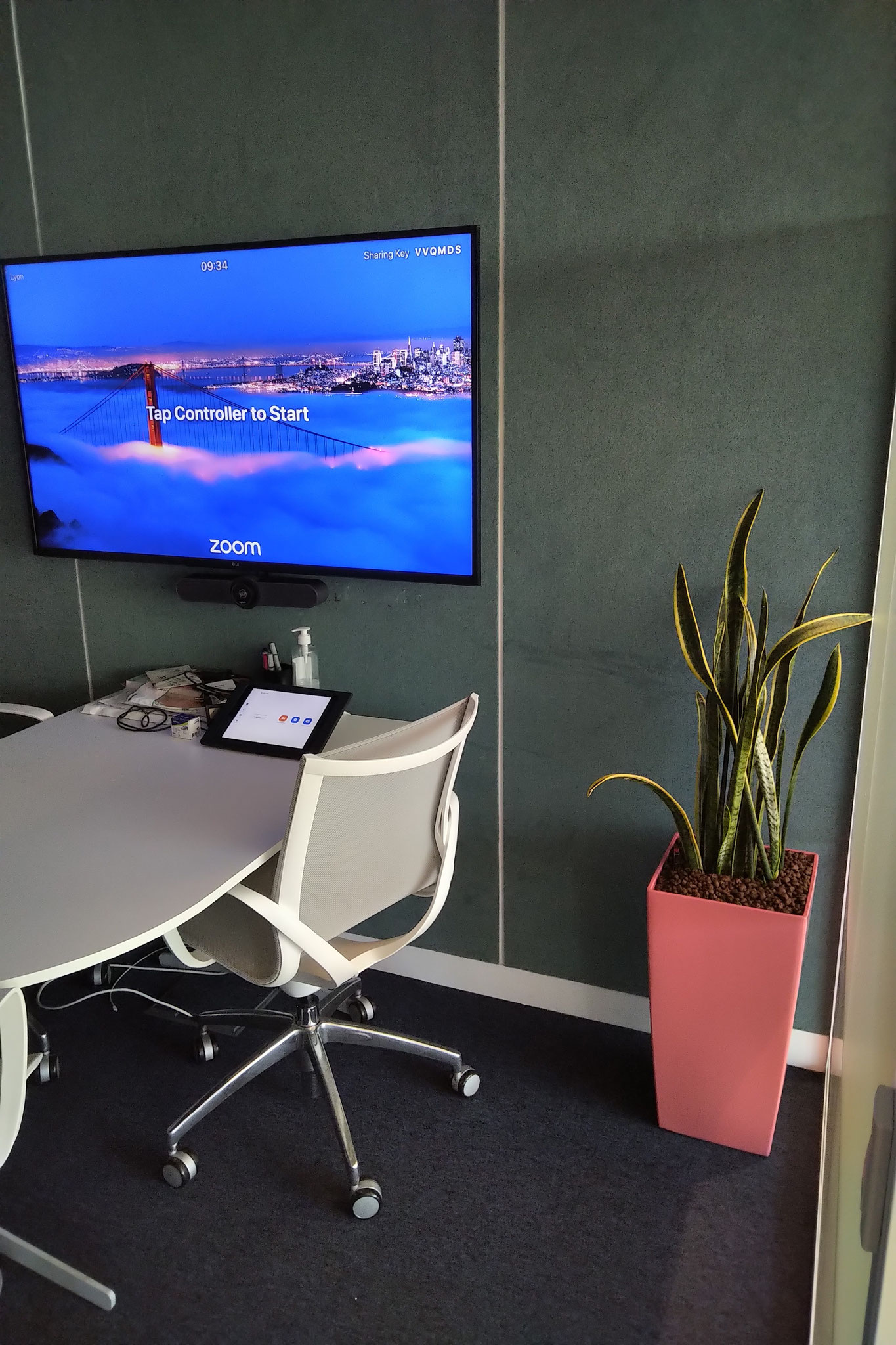 Location de ce Sansevieria pour cette salle de réunion