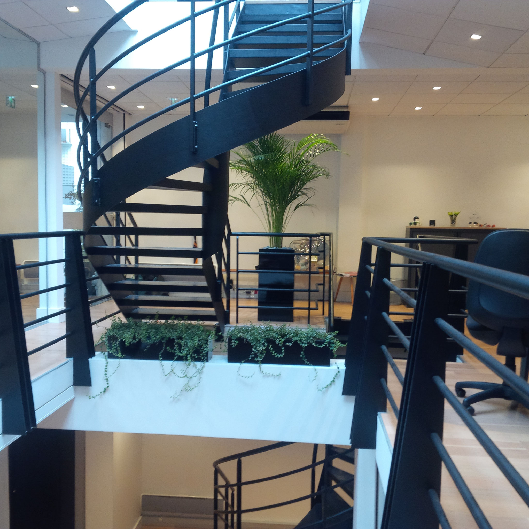 Paysagiste d'intérieur: location de plantes pour les bureaux d'une start up Parisienne