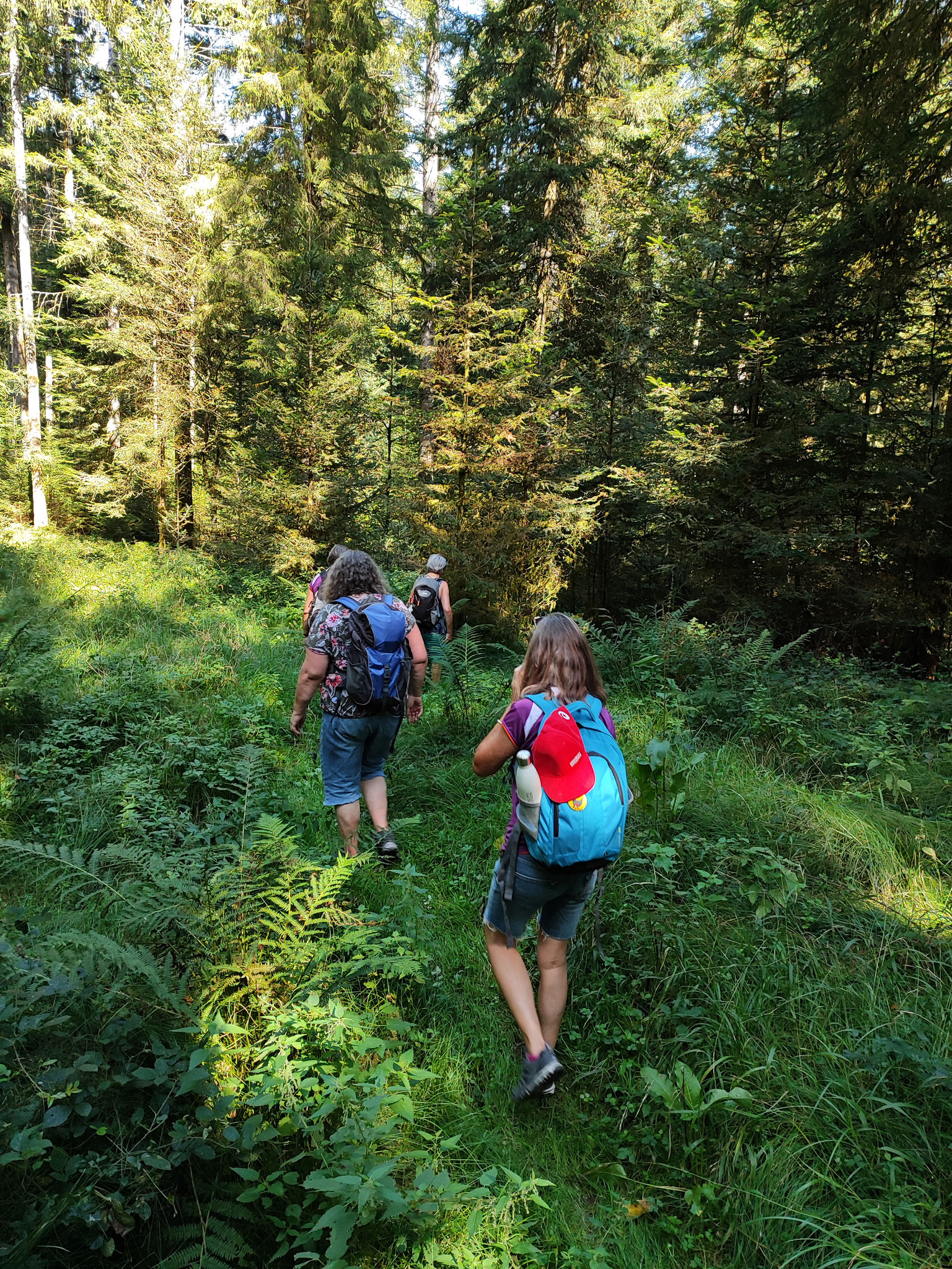 Spaziergang durch den Ziegelwals