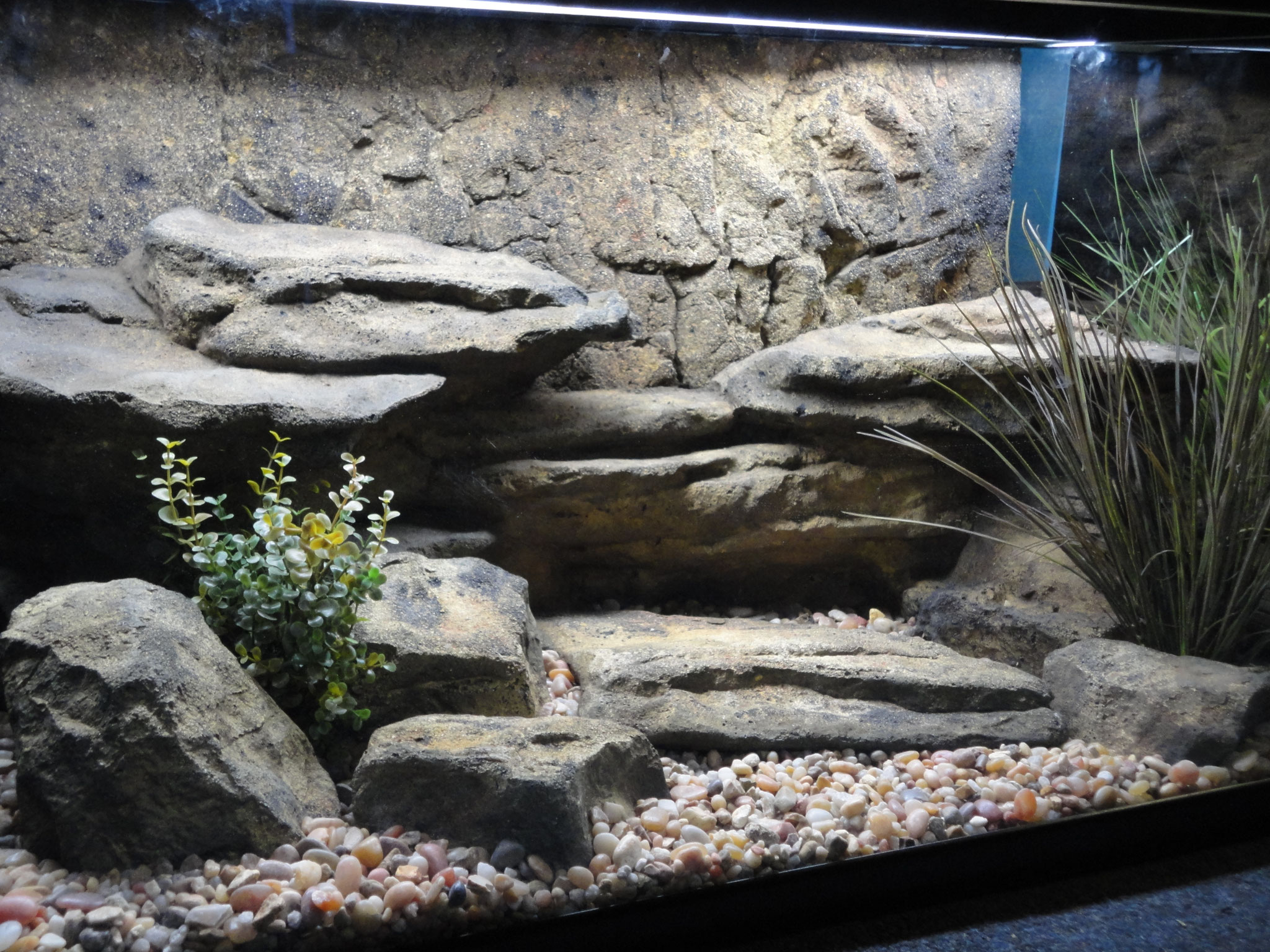 Let's build your own Fish Tank or Aquarium? CEIP PUNTA DE N'AMER