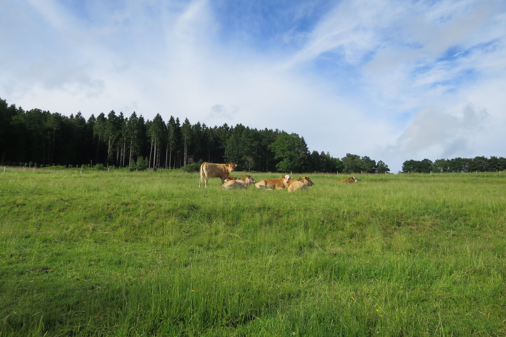 Juni - Alle genießen den Sommer.