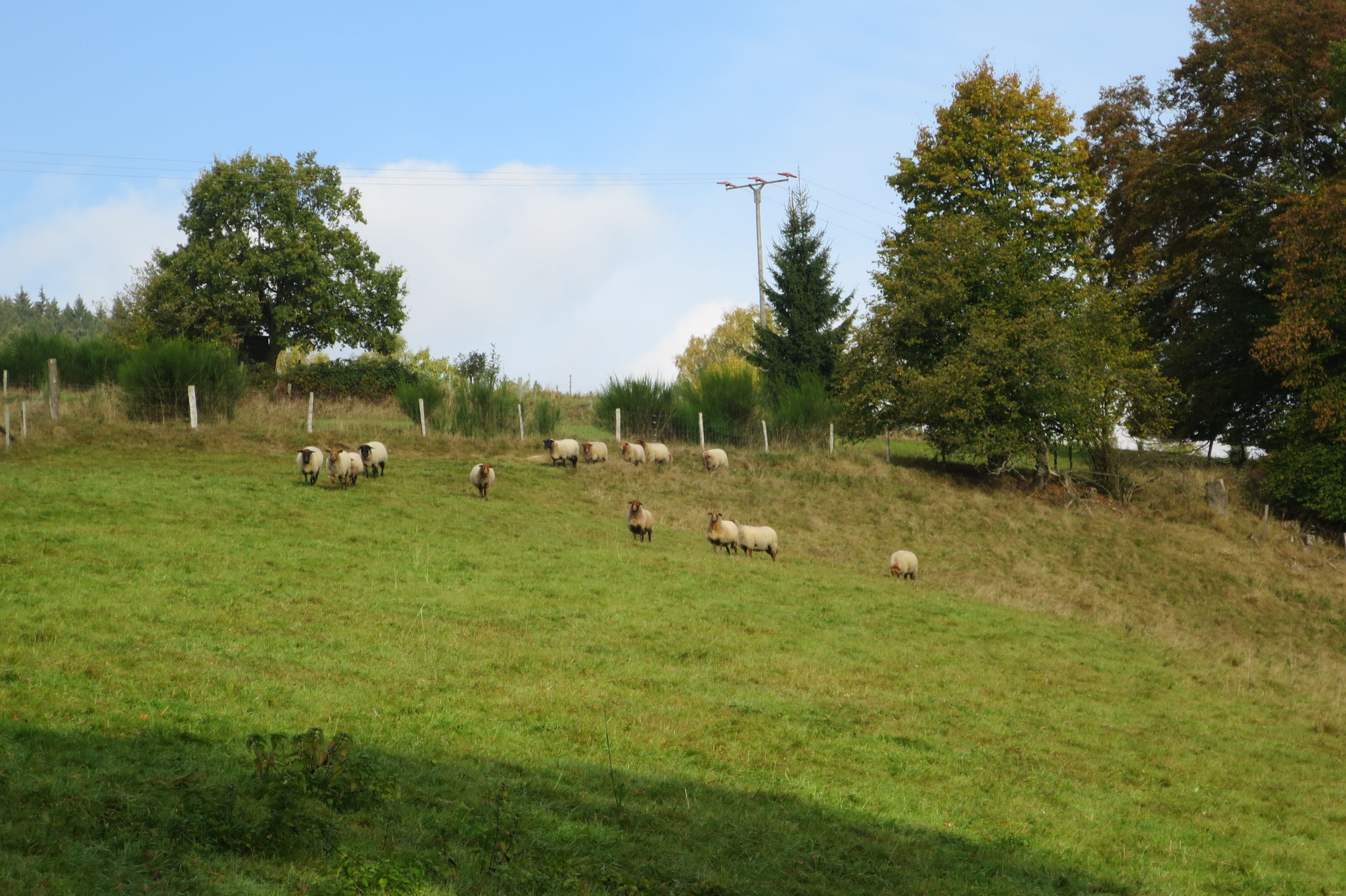 Oktober - Es wird Herbst...