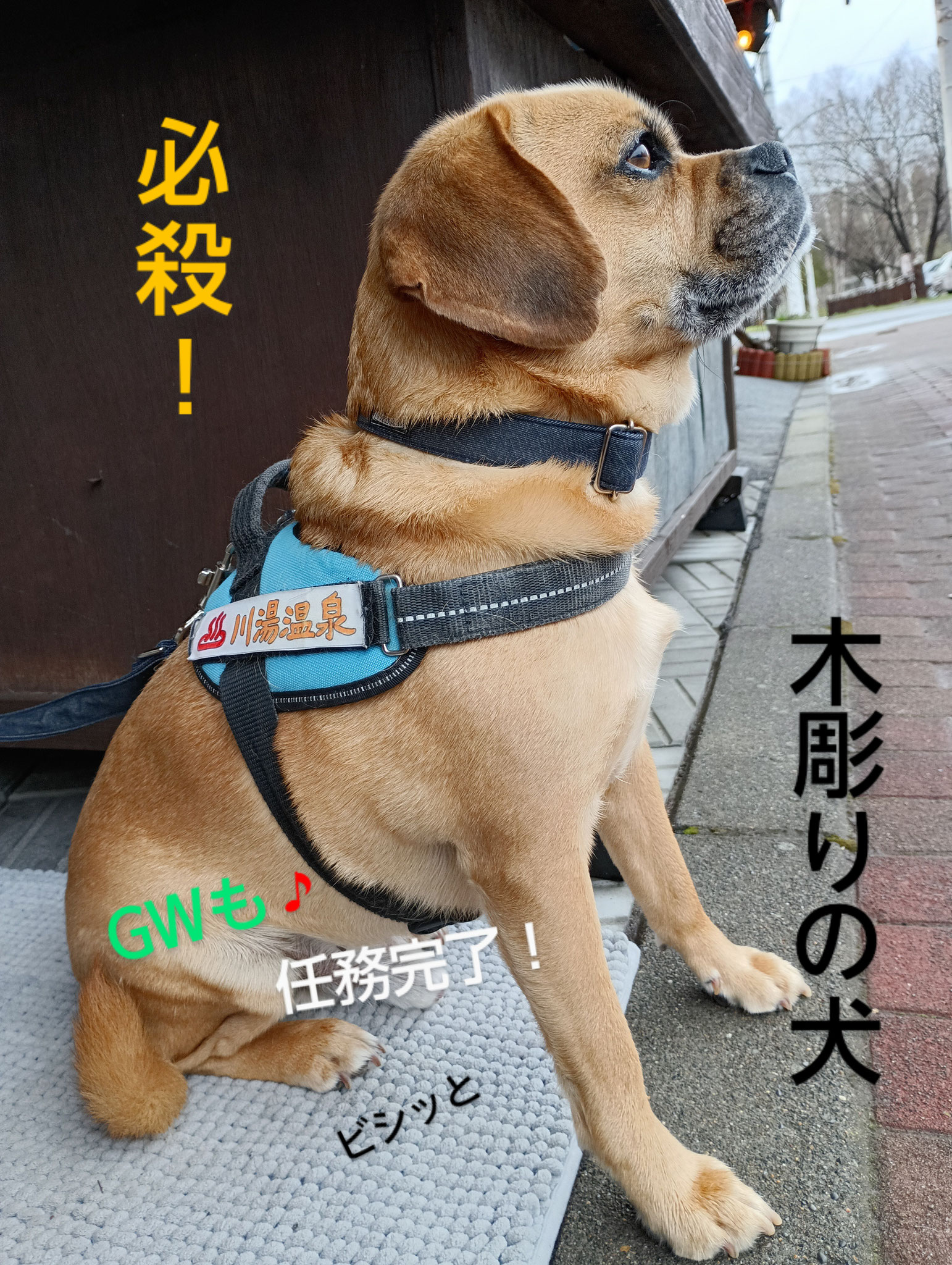 必殺技を身につけてます✌｢あっ動いた！(*ﾟﾛﾟ)ﾊｯ!本物だ！｣暇な時間にお客さんを驚かせる技を習得中(； ･`д･´)茶色でよかったな～♪