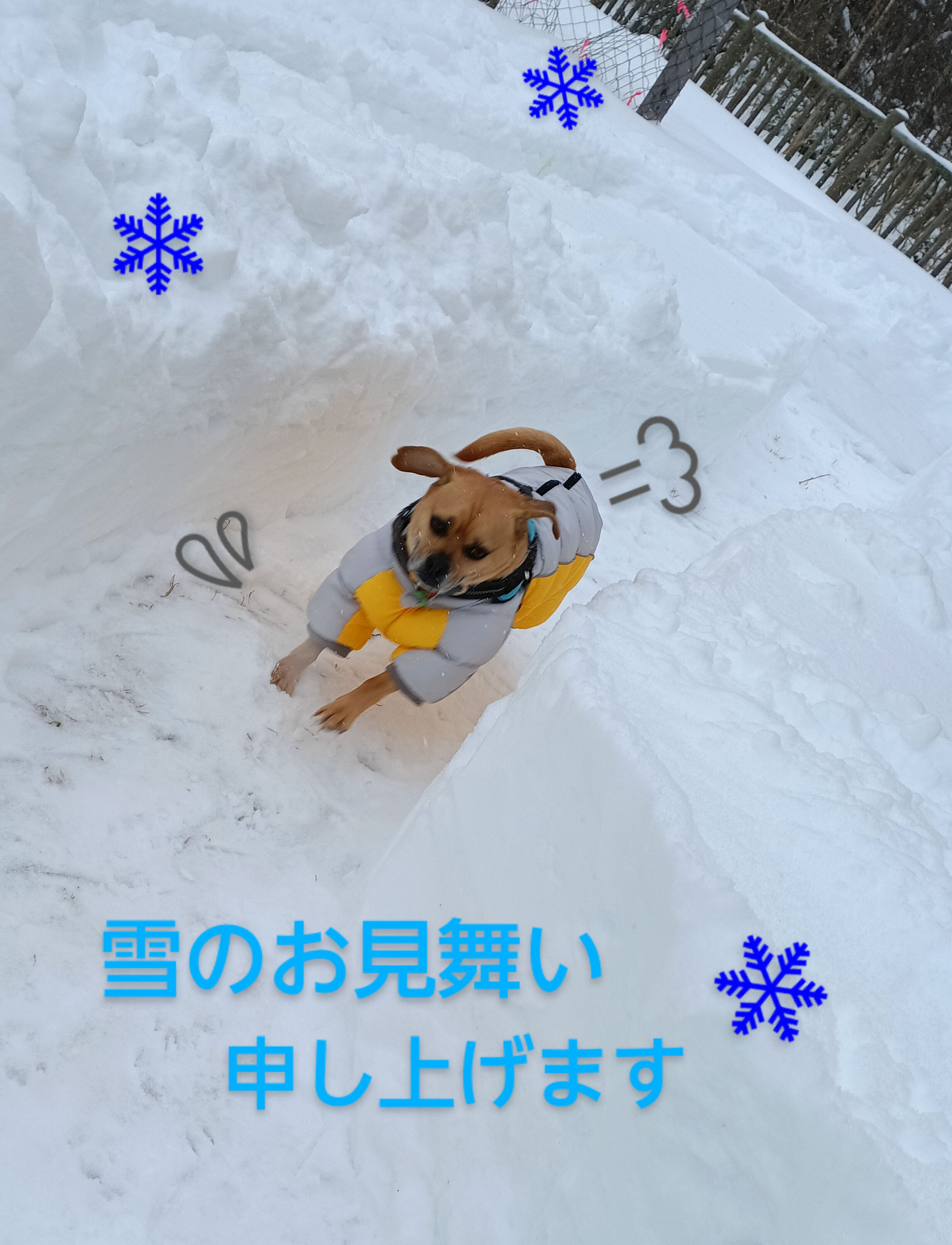 川湯♨は楽でしたが⛄来ましたよ～(； ･`д･´)寒波襲来🌀ダウンスーツで走れば逃げ切れるかもしれない💦観測史上最高の12時間で120㎝の雪って？！僕が40㎝だからぁ。。。。えーっと(￣^￣ゞどうぞ皆さんご自愛下さい💛