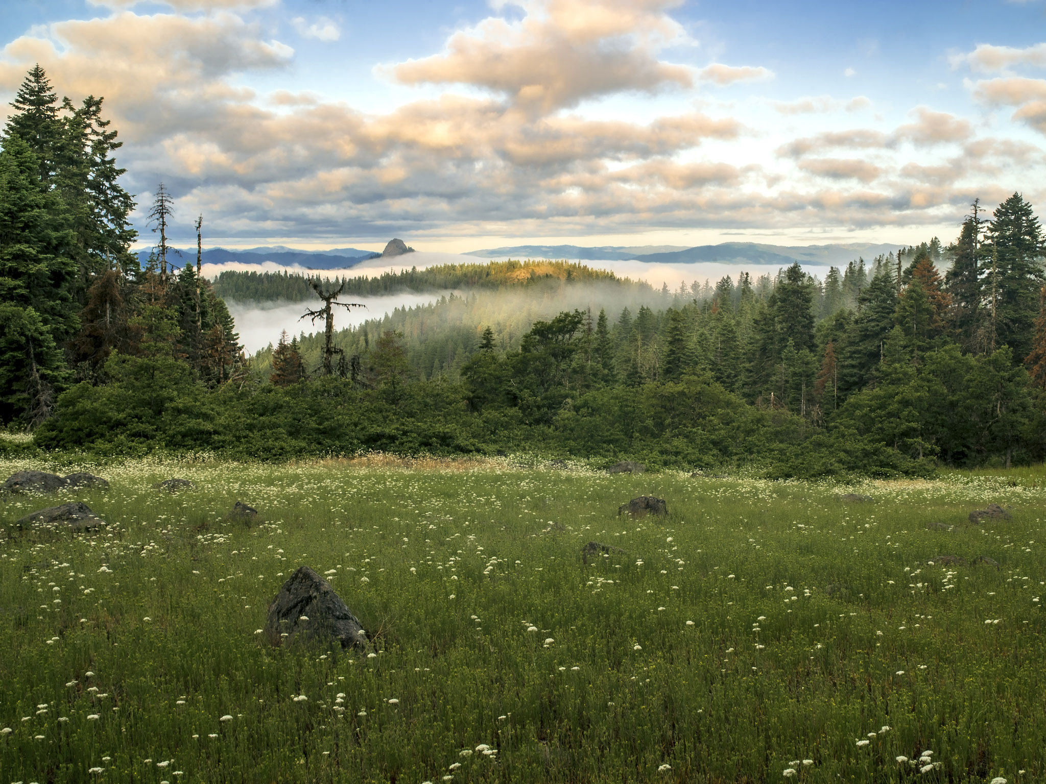 Morning Fog, Cascade-Siskiyou National Monument, Jackson County, Oregon, 2019. Inkjet print, 34x44", edition of 11