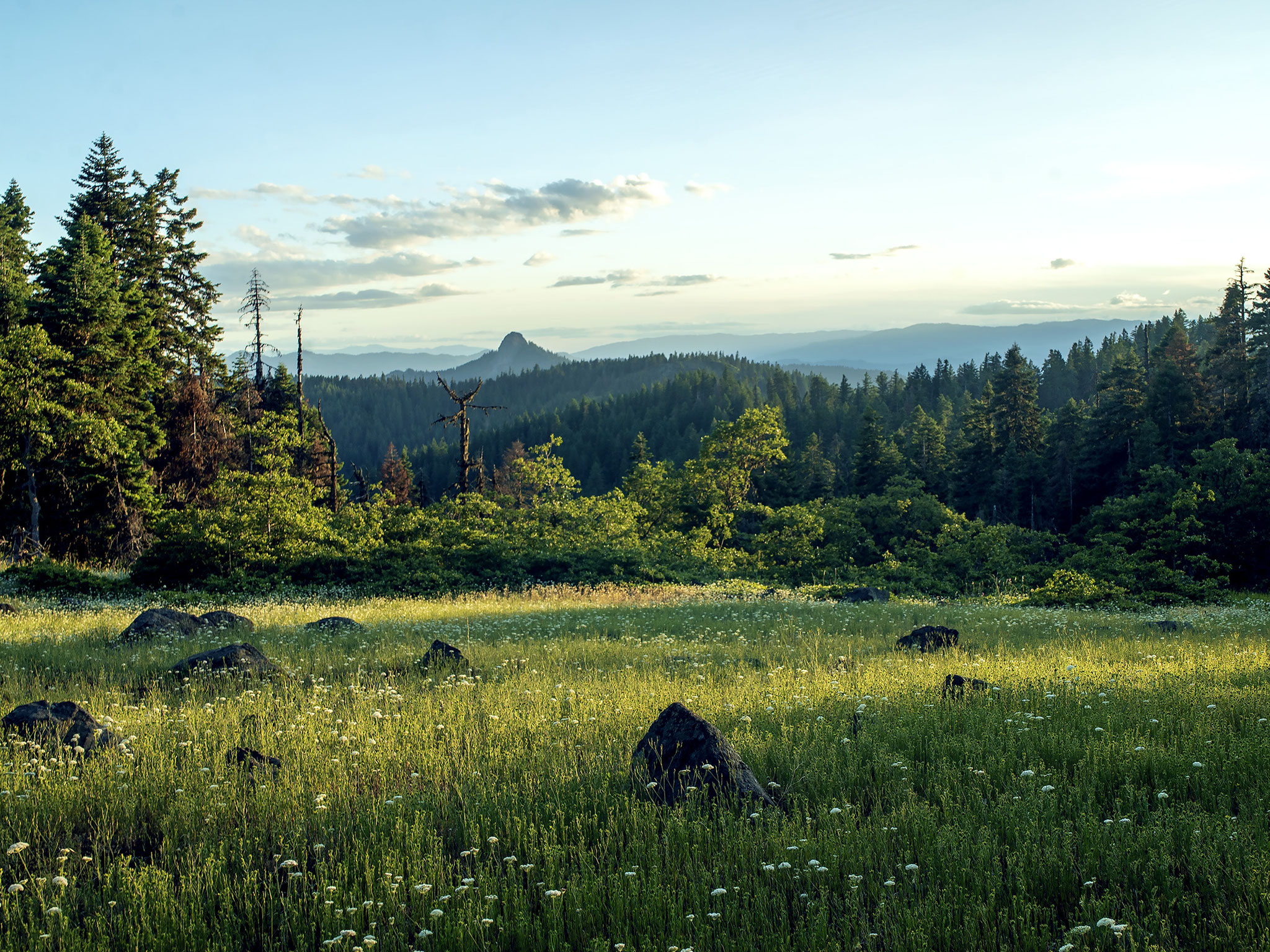 Afternoon Shadows, Cascade-Siskiyou National Monument, Jackson County, Oregon, 2019. Inkjet print, 34 x 44", edition of 11