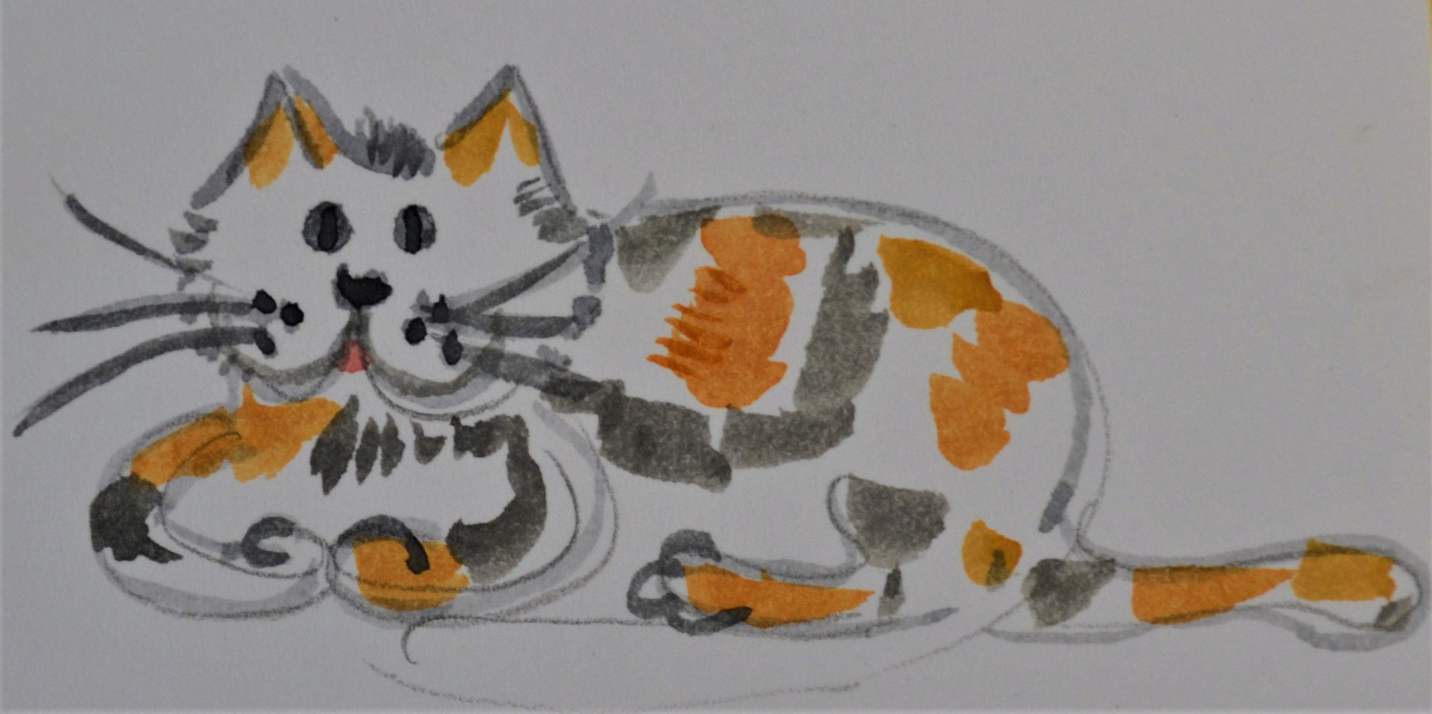 Katze gestreift