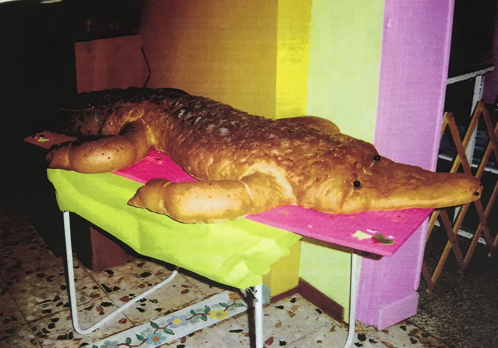 crocodile garni